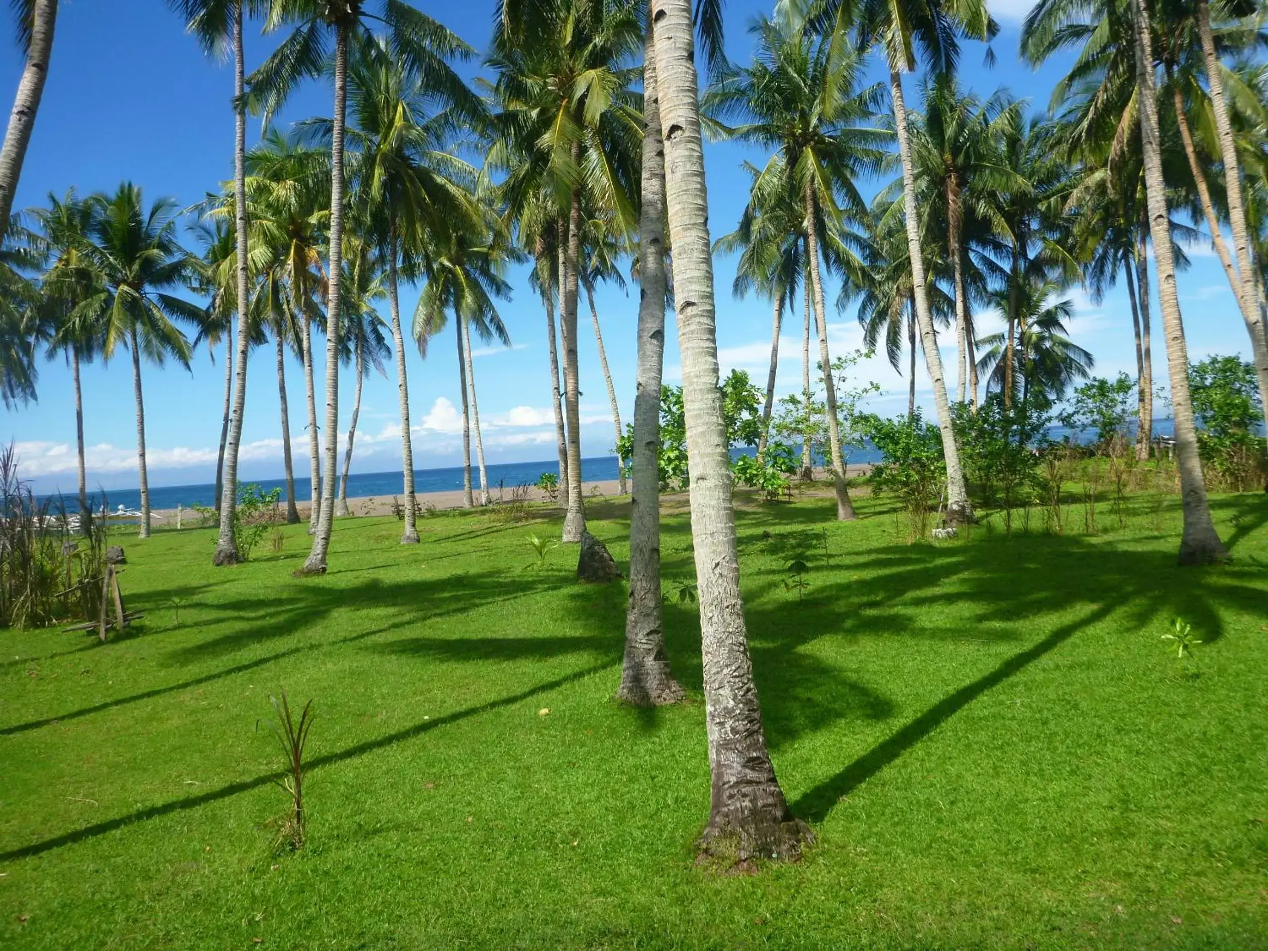 Garden in SomeWhere Else Boutique Resort