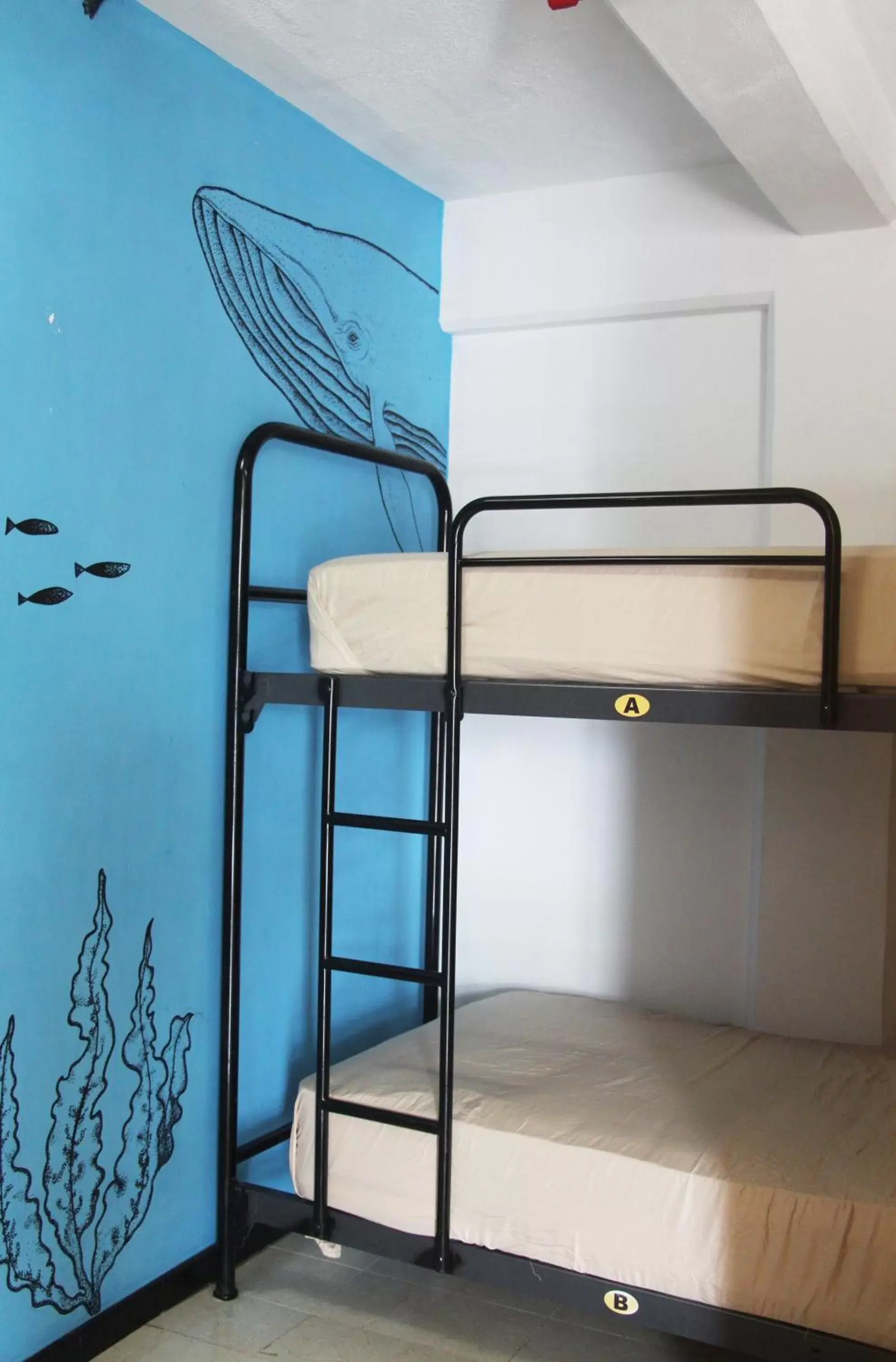 Bed, Bunk Bed in Hotel & Hostal Casa de Luz Cancun