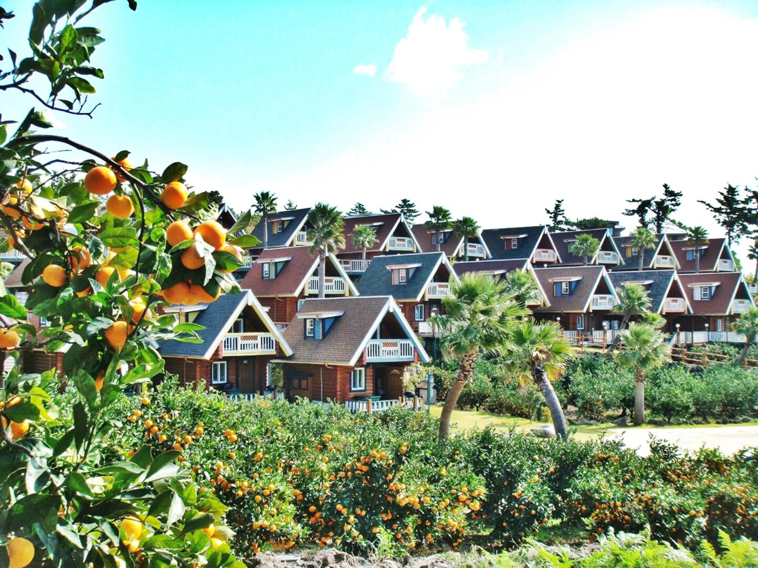 View (from property/room) in Jungmun Log Pension & Resort