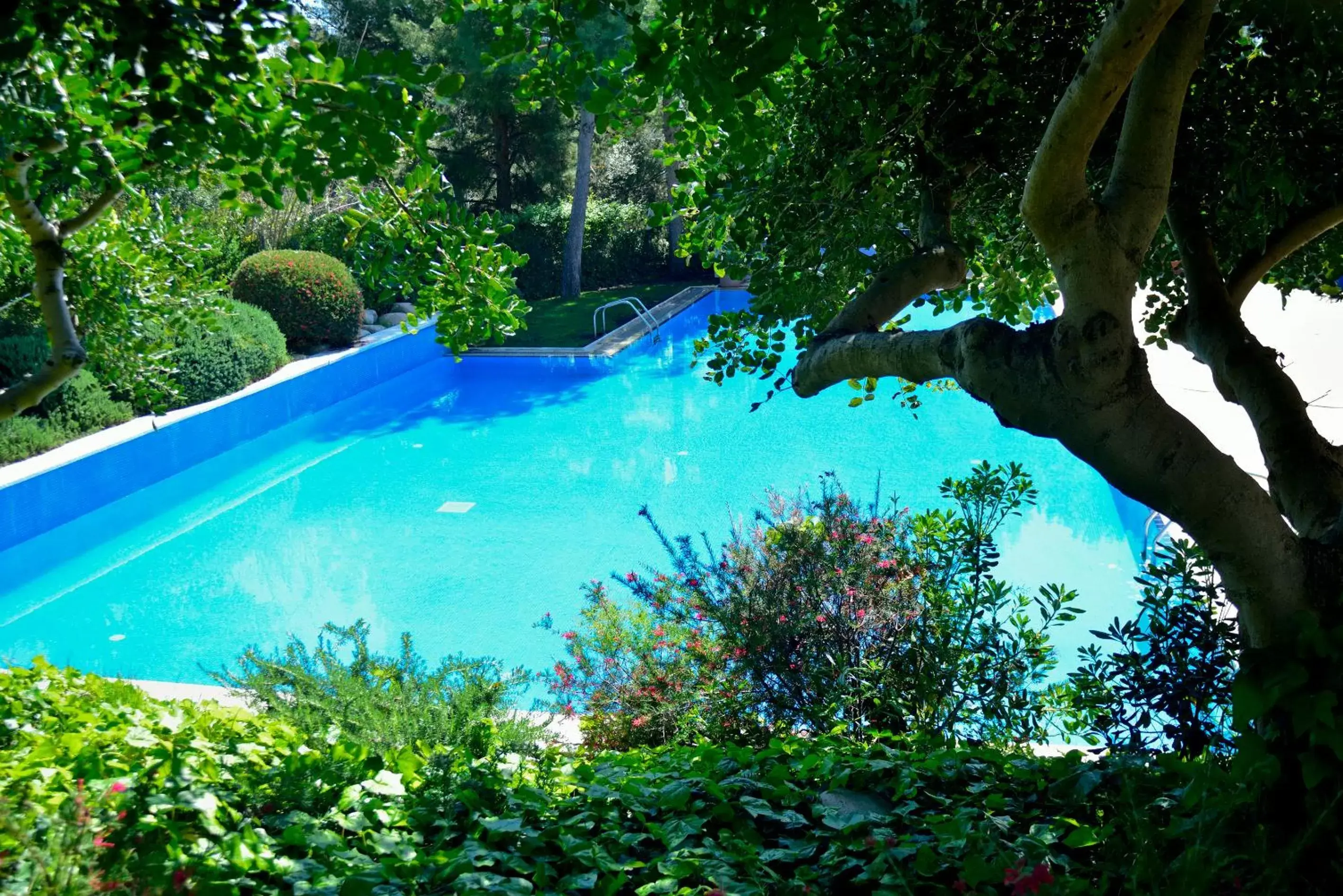 Swimming Pool in Abba Garden