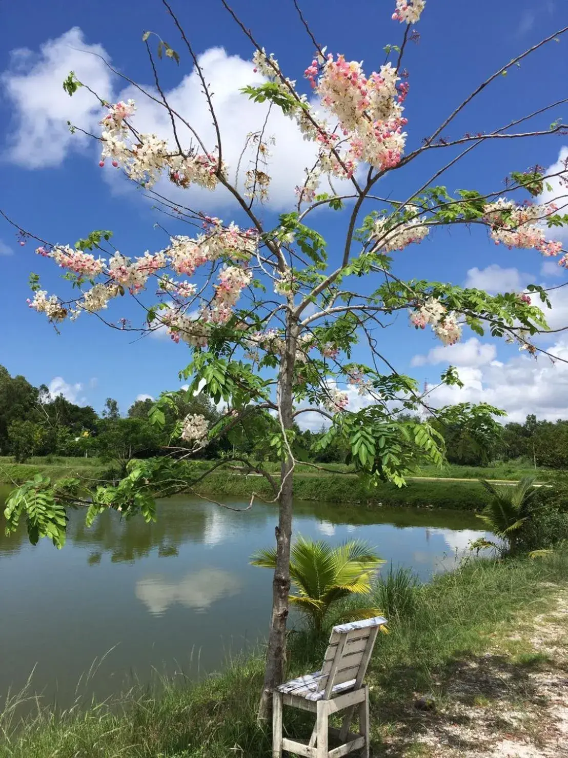 Property building in Sarocha Resort Rayong