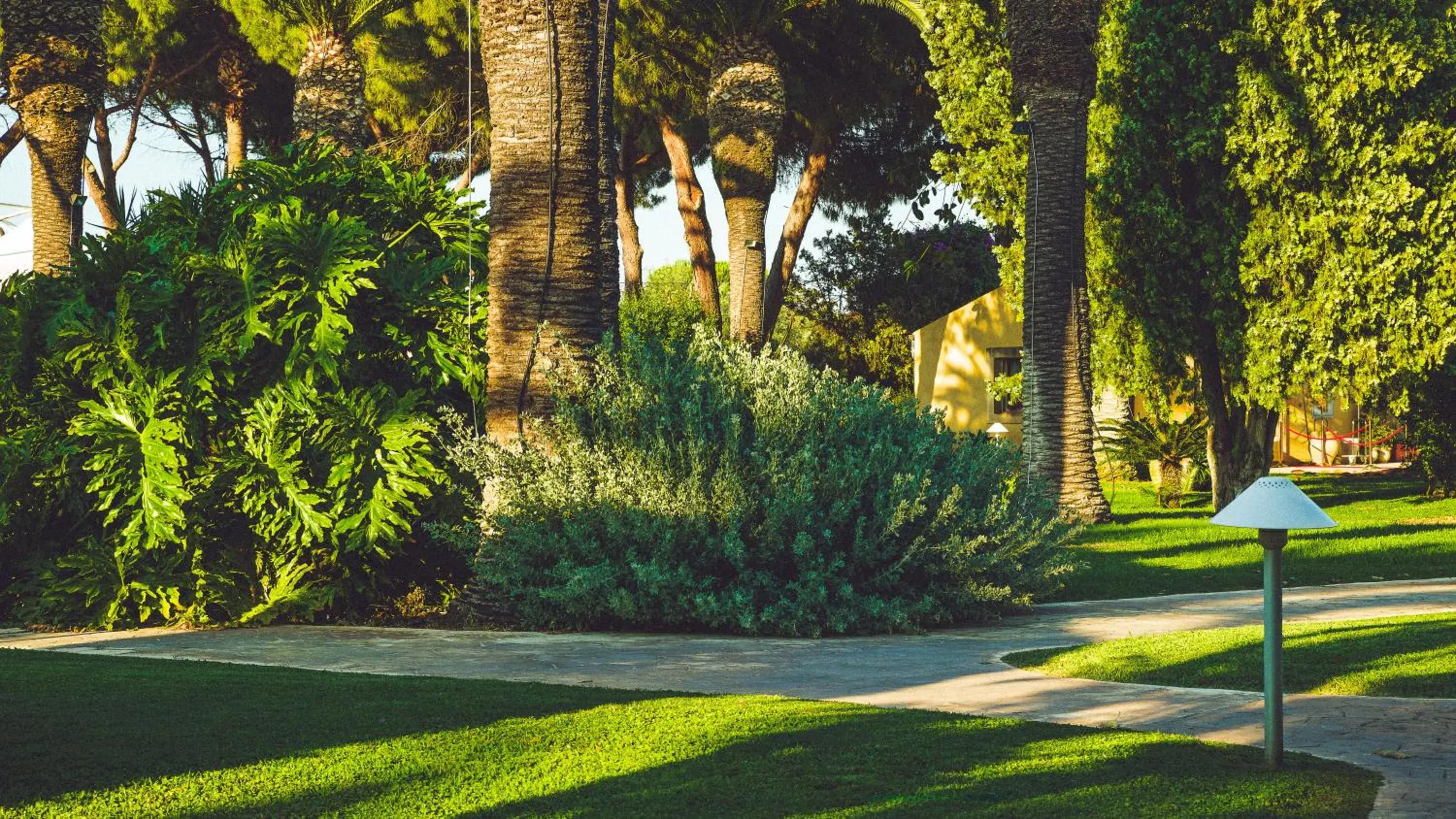 Property building, Garden in Hotel Caiammari