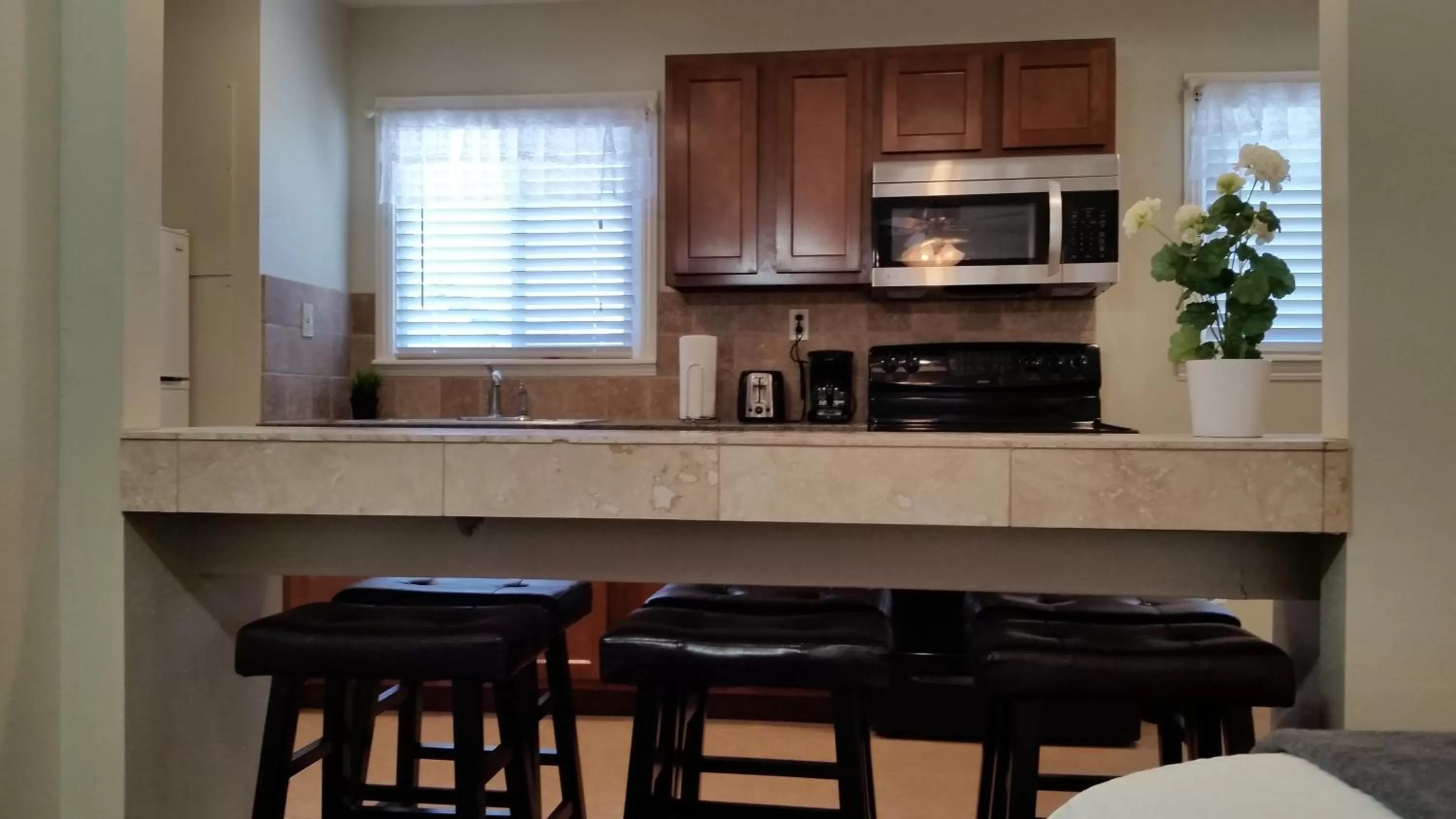 Kitchen or kitchenette in Trees Motel