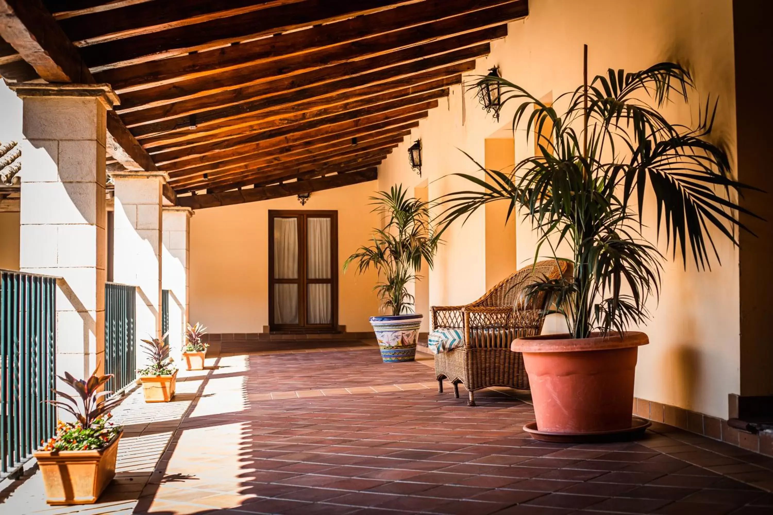 Patio in ALEGRIA Bodega Real