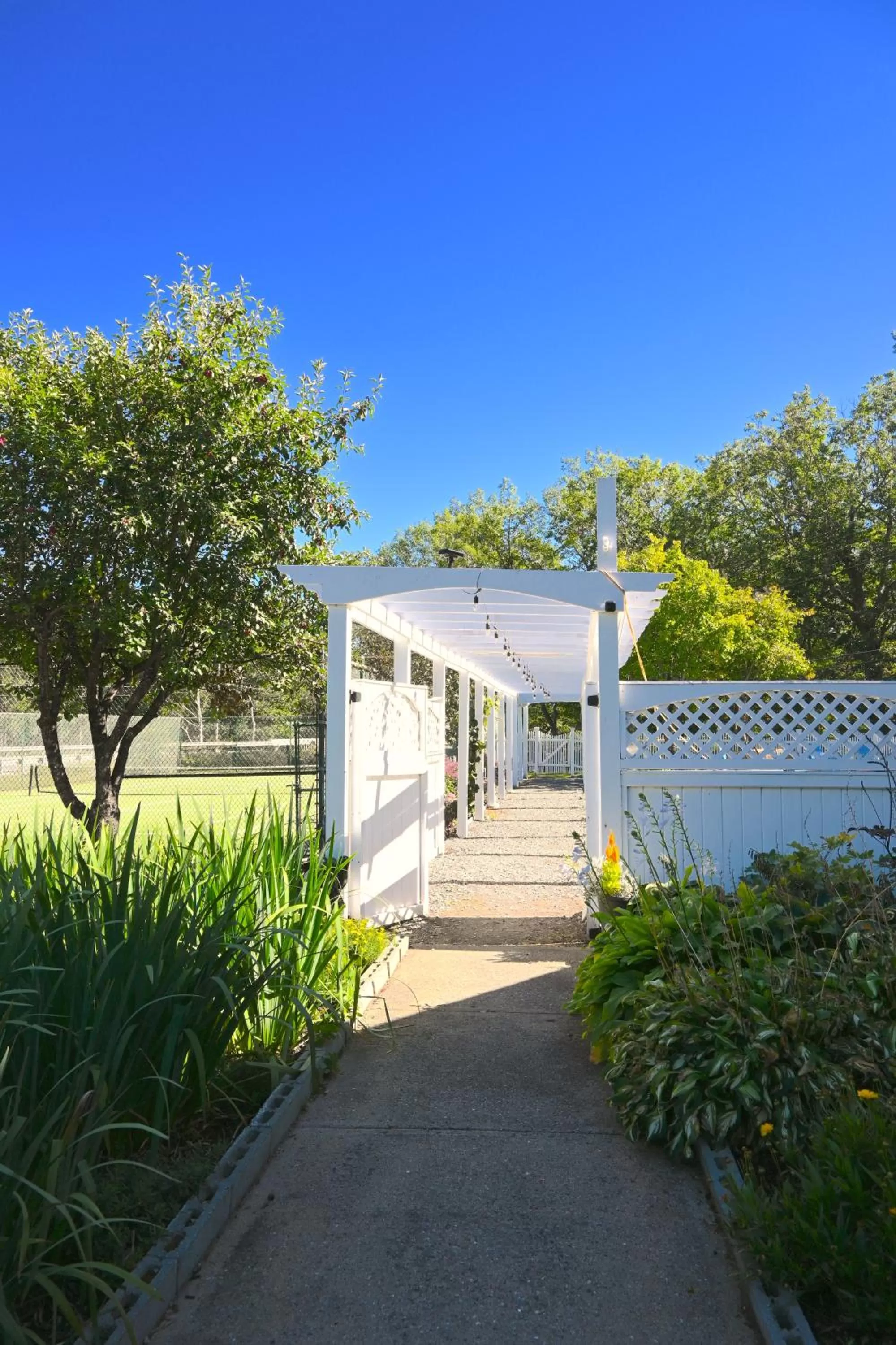 Property building in The Lodge at Jackson Village