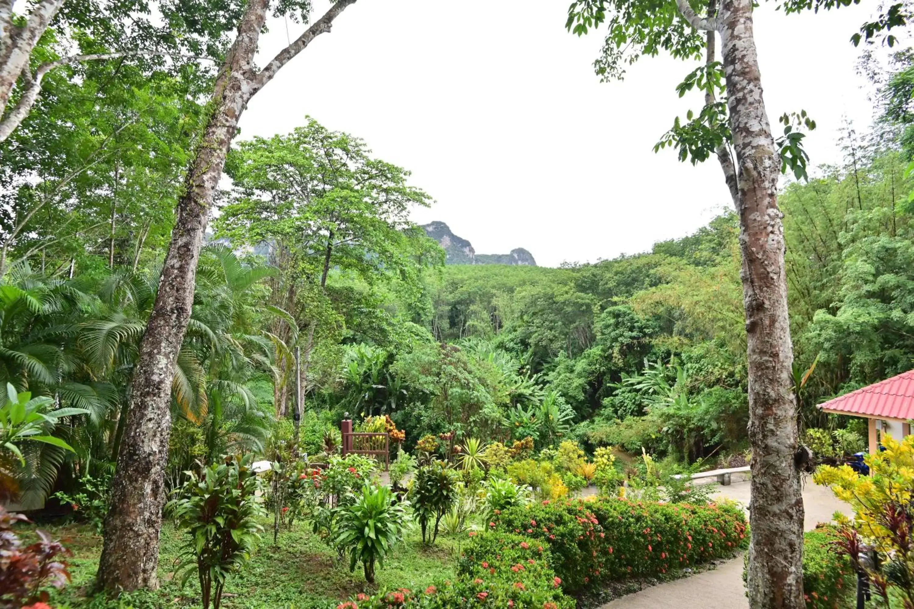 Garden in Khao Sok River Home Resort