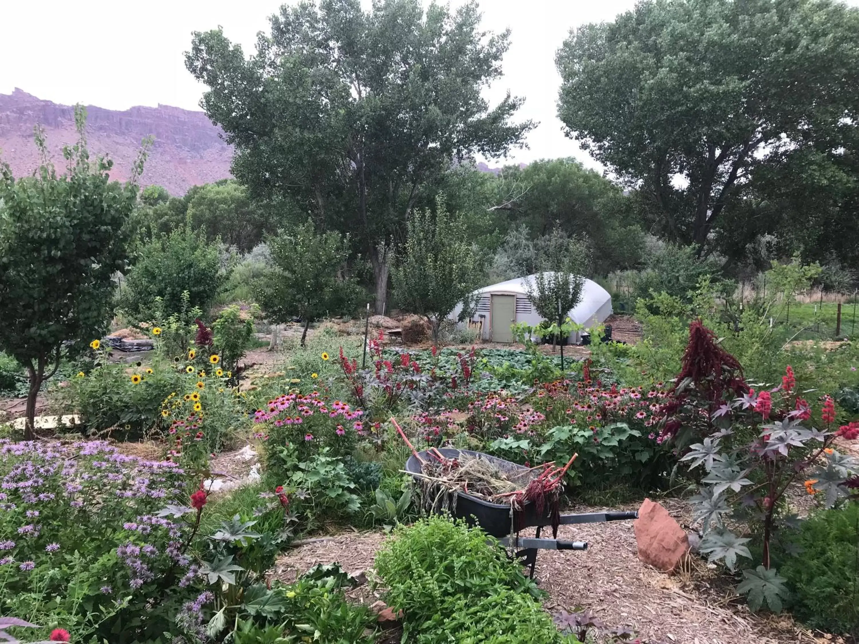 Garden in Red Moon Lodge