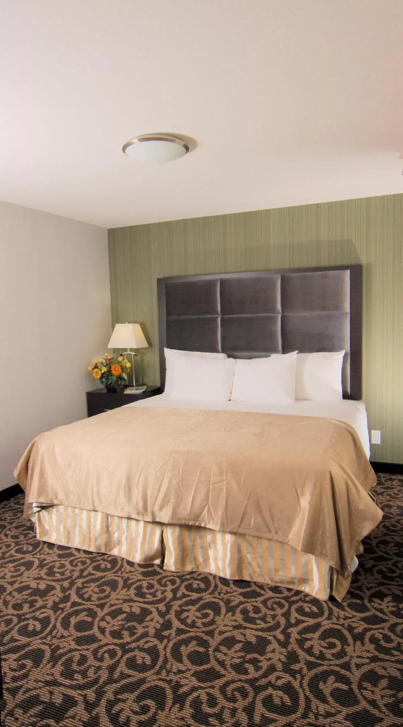 Bed in Paradise Inn and Suites Redwater
