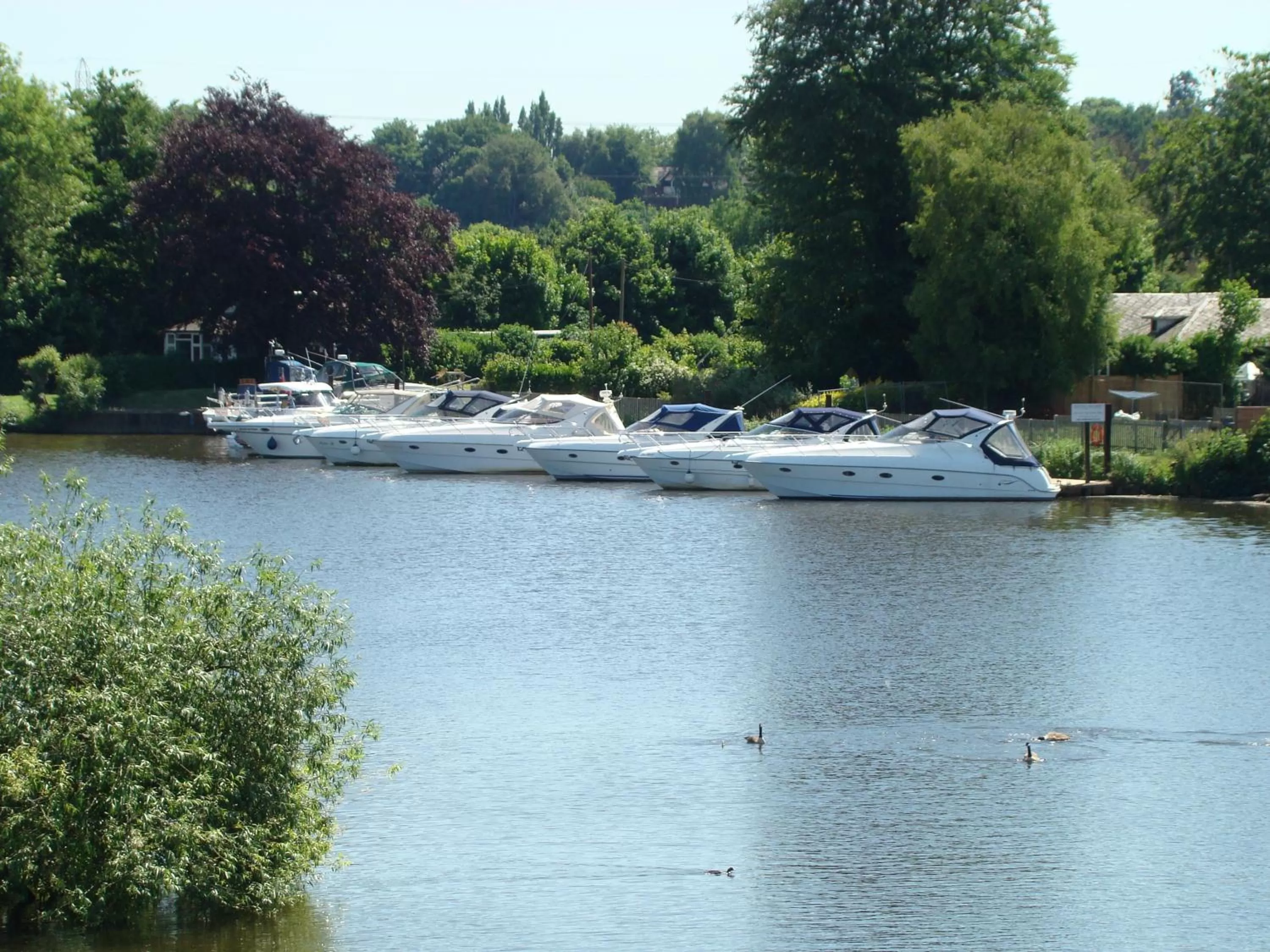 Balcony/Terrace in The Bridge Hotel