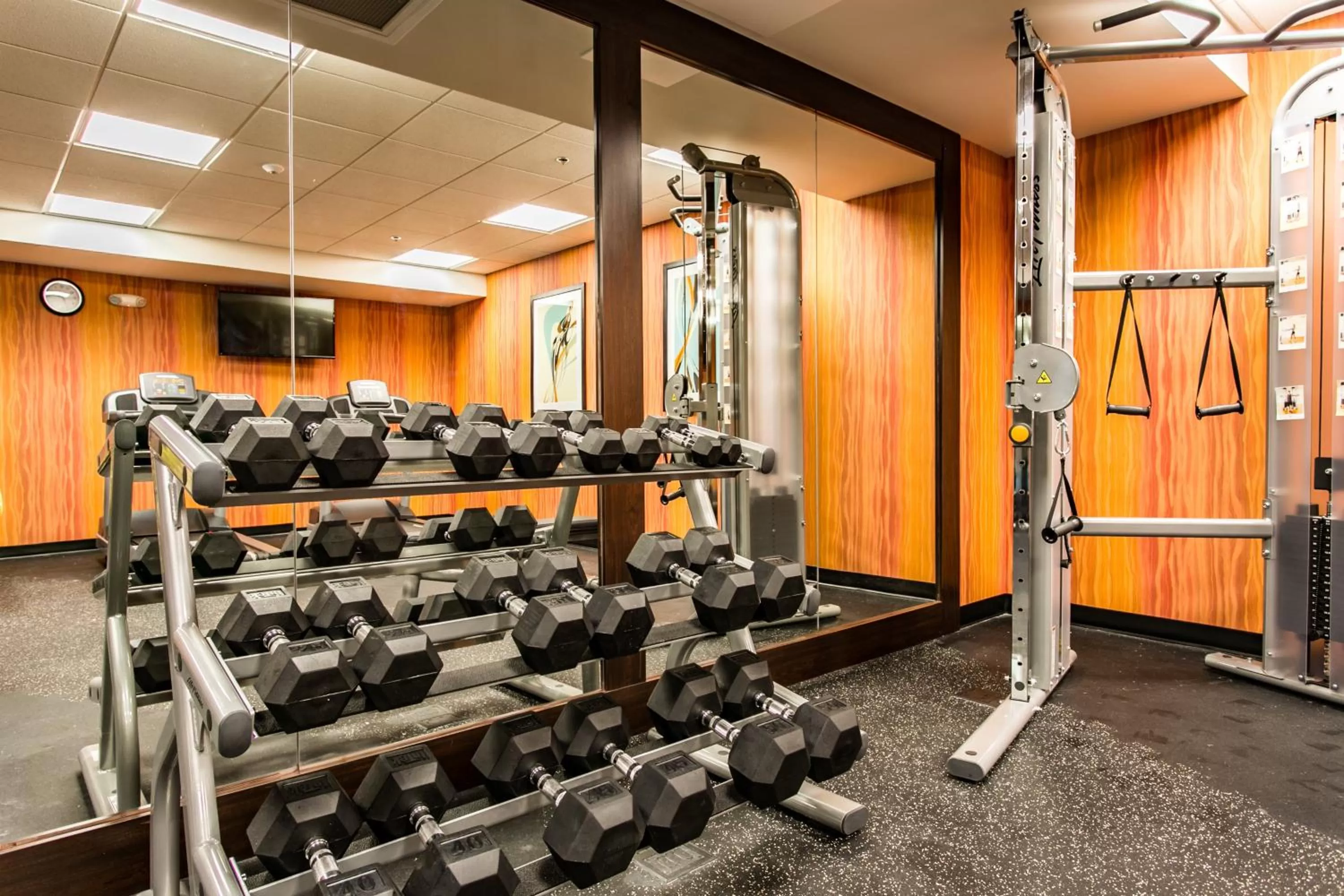 Fitness centre/facilities in Holiday Inn Hotel & Suites Chattanooga by IHG