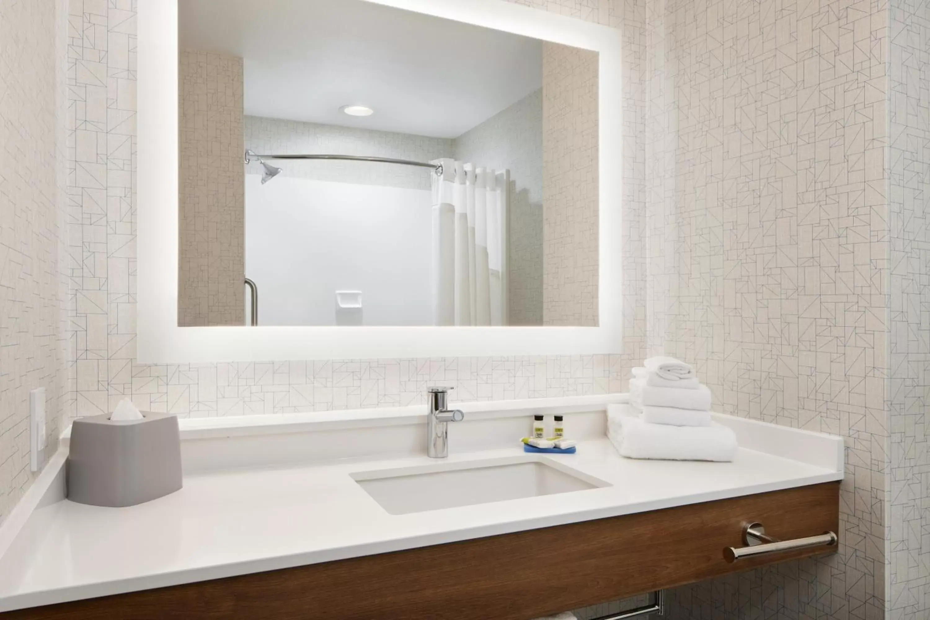 Bathroom in Holiday Inn Express Hotel & Suites Salem, an IHG Hotel