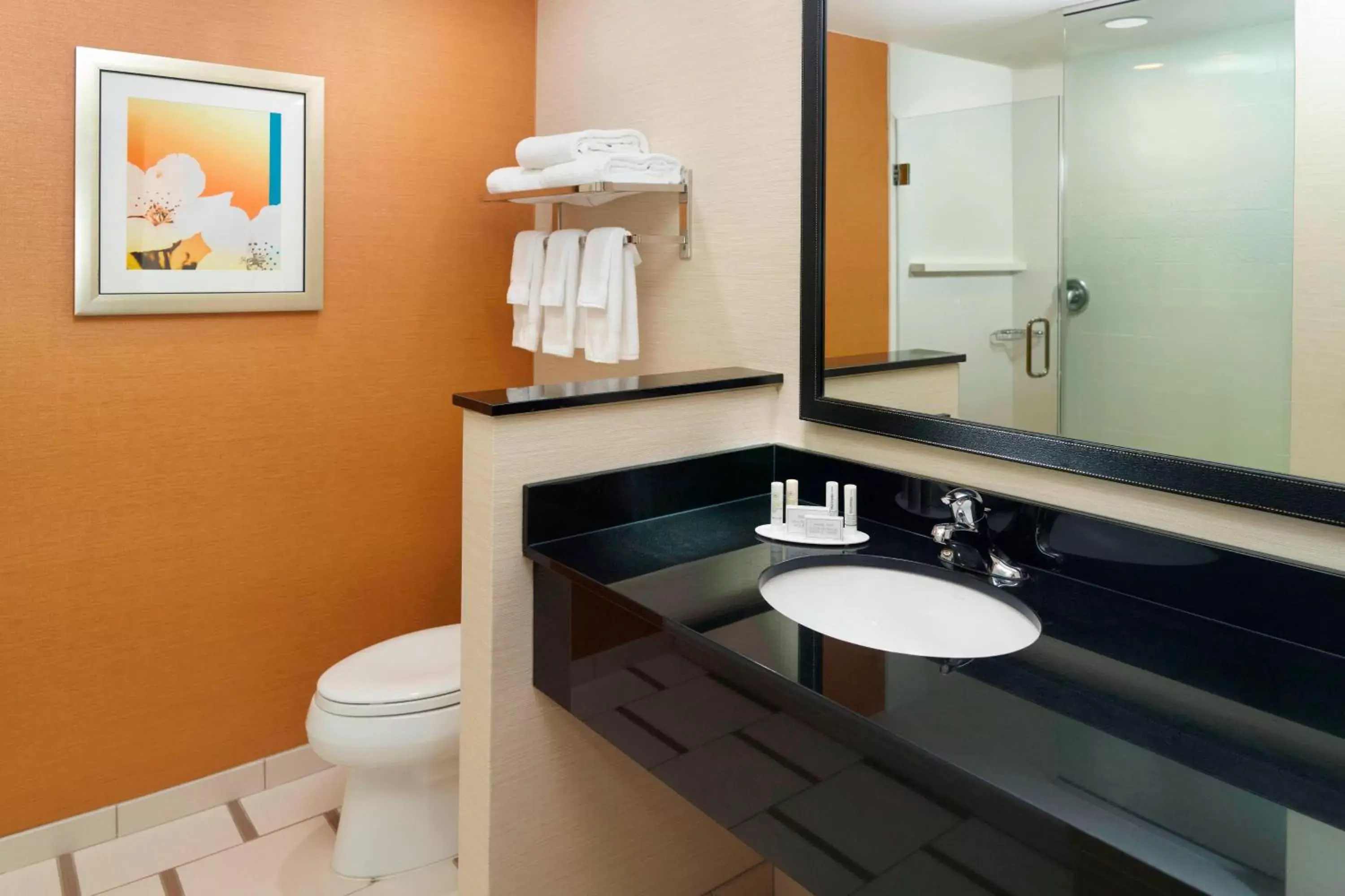 Bathroom in Fairfield Inn & Suites by Marriott Fayetteville North
