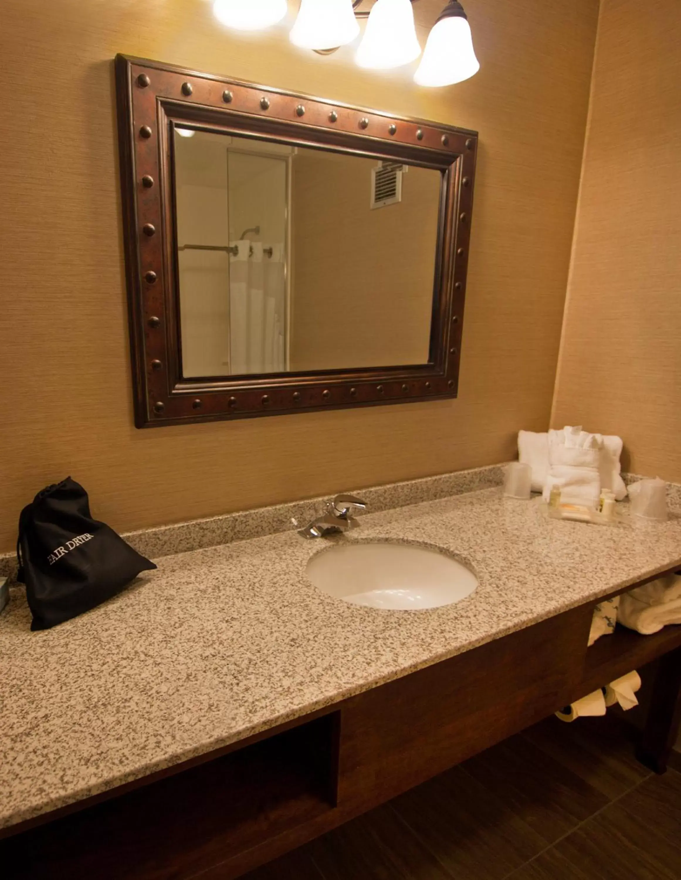 Bathroom in Buffalo Airport Hotel