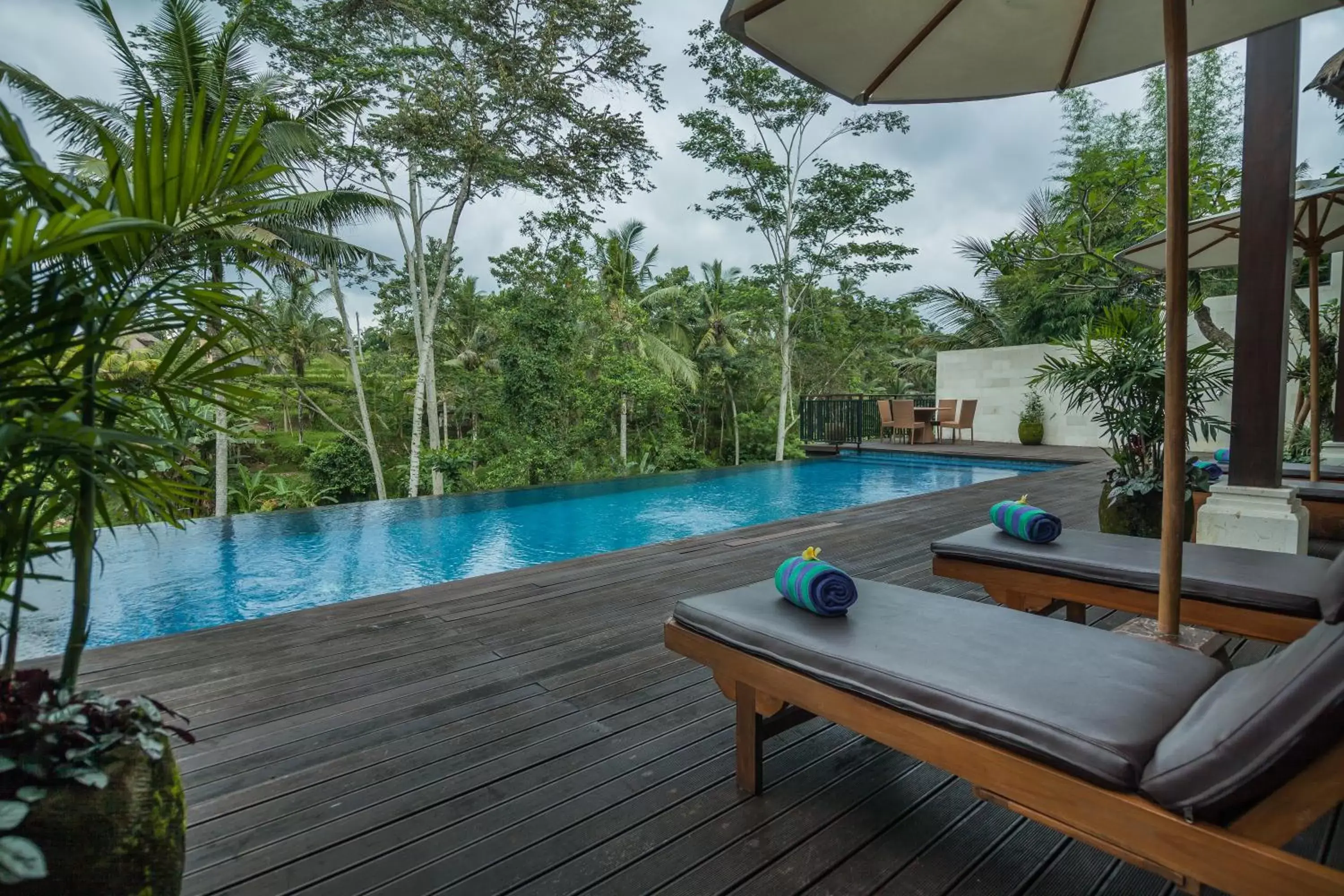 Pool view, Swimming Pool in River Sakti Ubud by Prasi