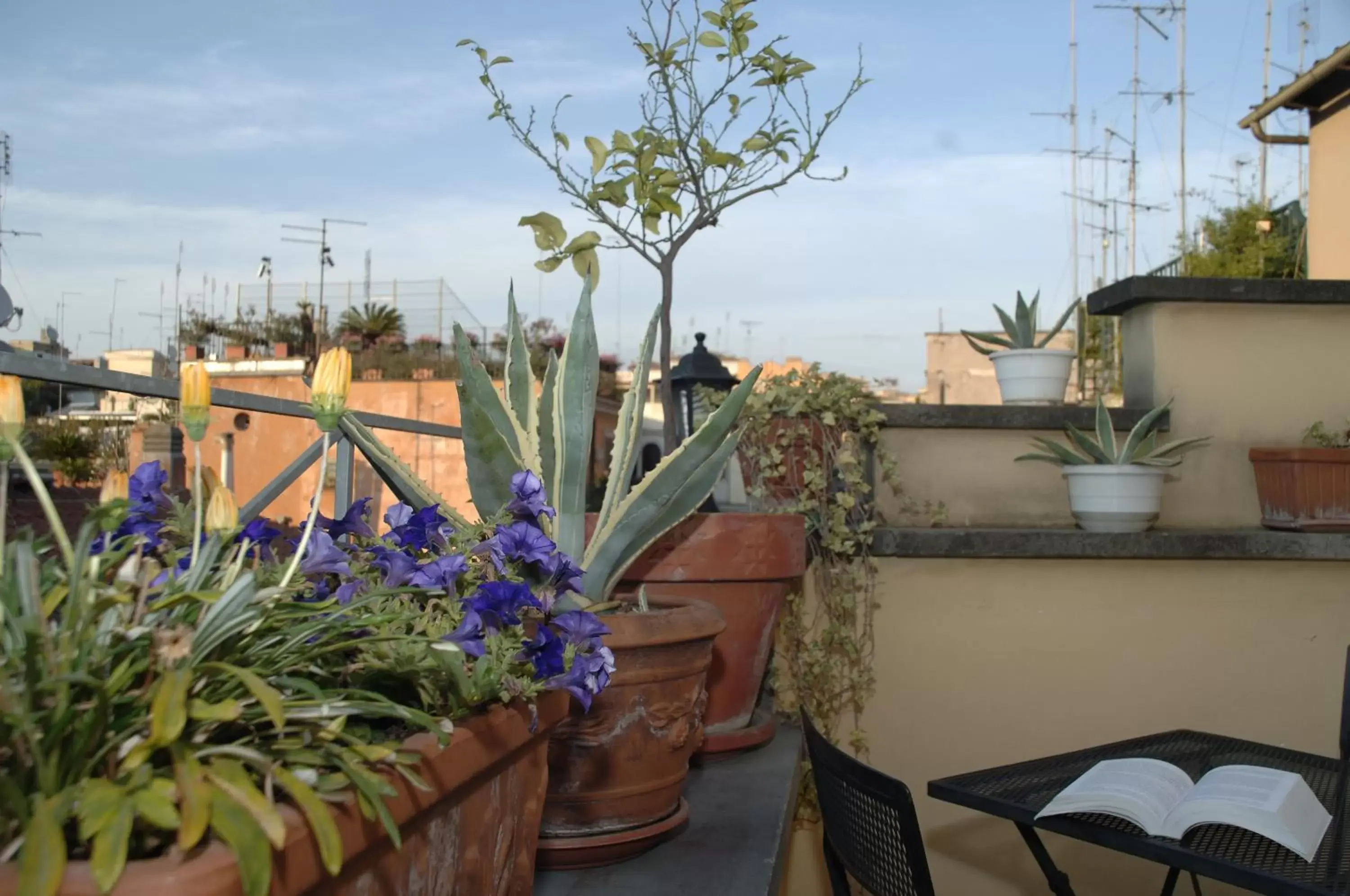 Balcony/Terrace in Hotel Fellini