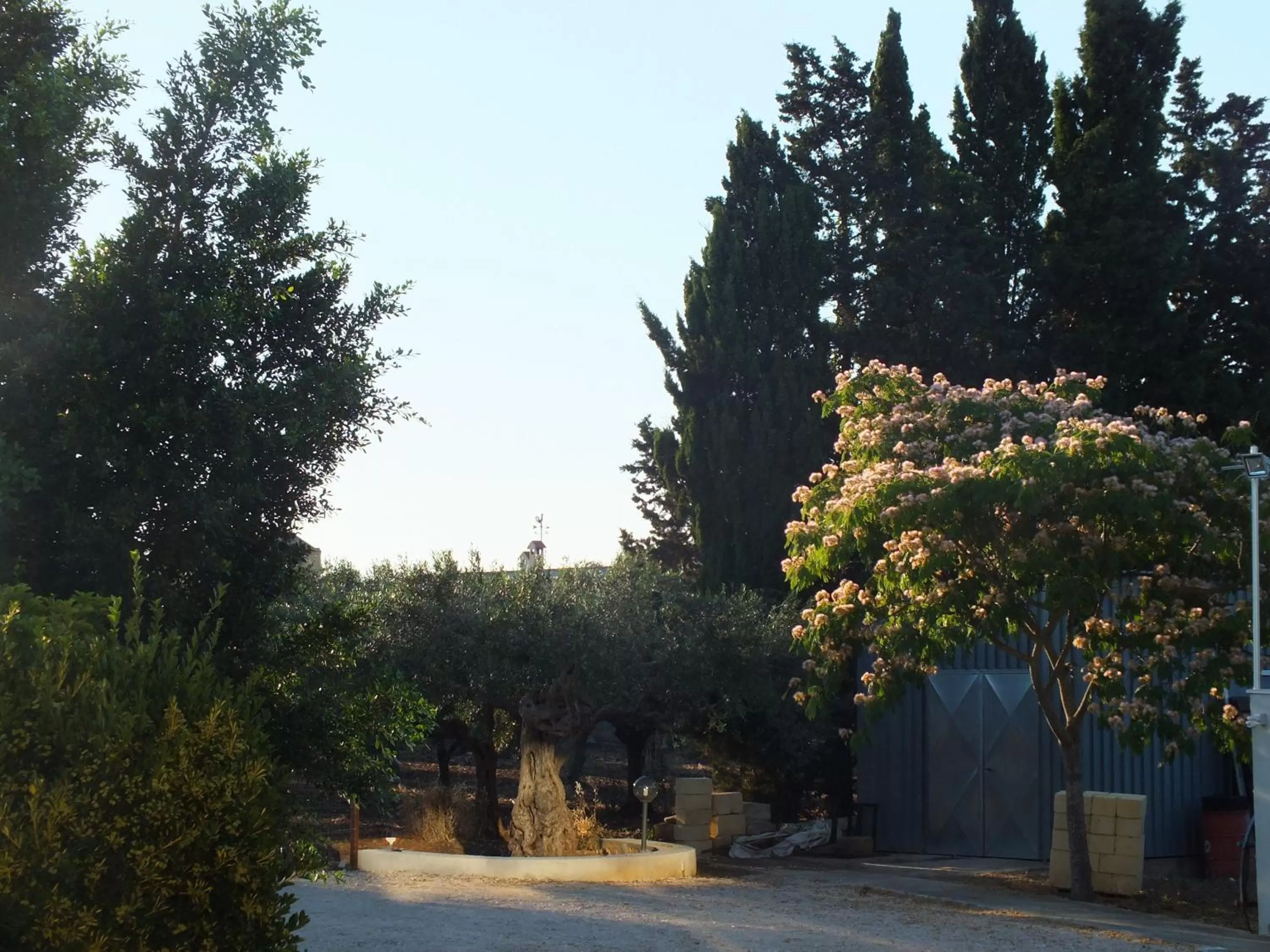 Natural landscape in B&B SiciliAntica