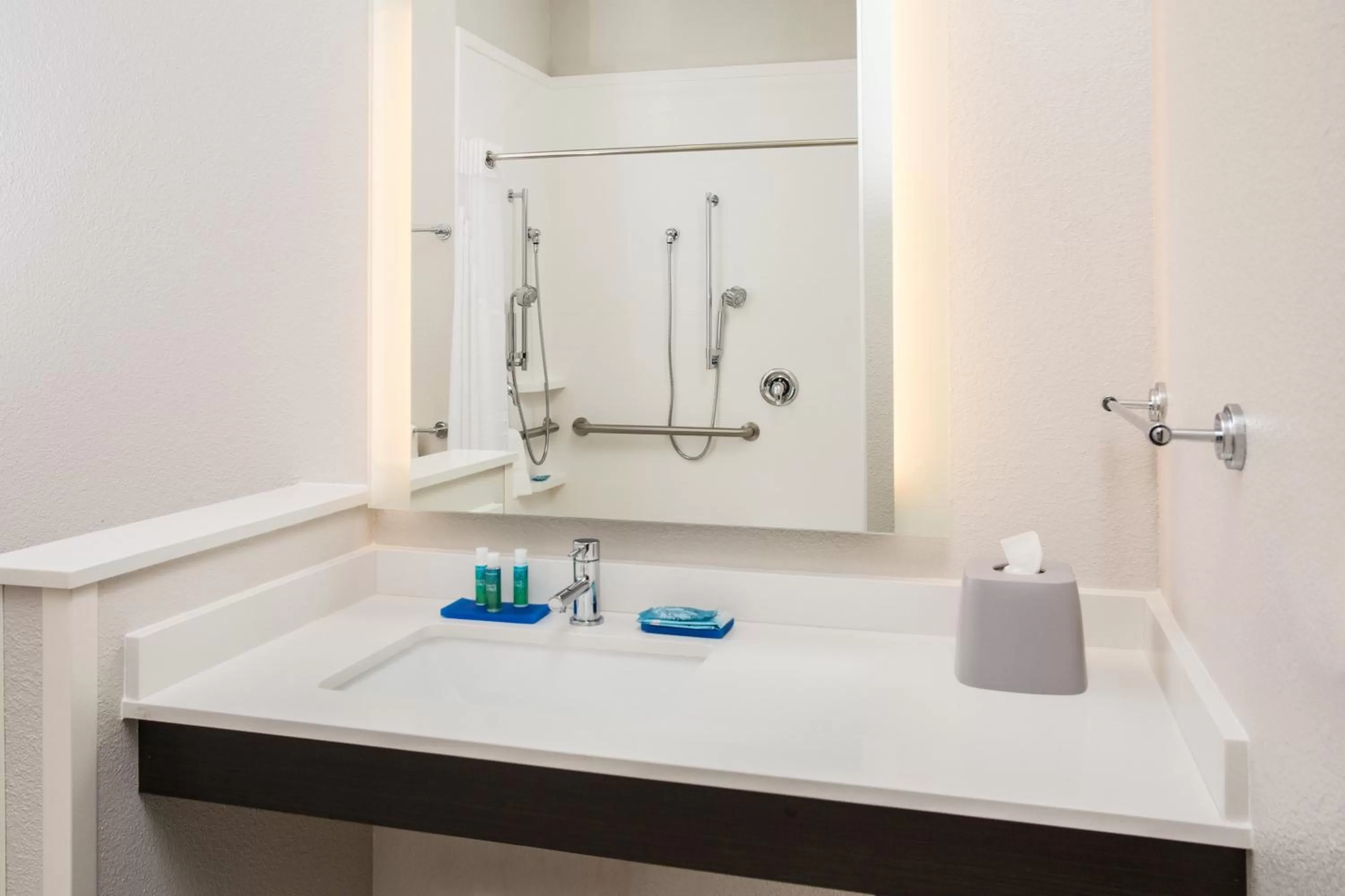 King Room - Hearing Accessible - Roll-in Shower in Holiday Inn Express & Suites - Rapid City - Rushmore South, an IHG Hotel