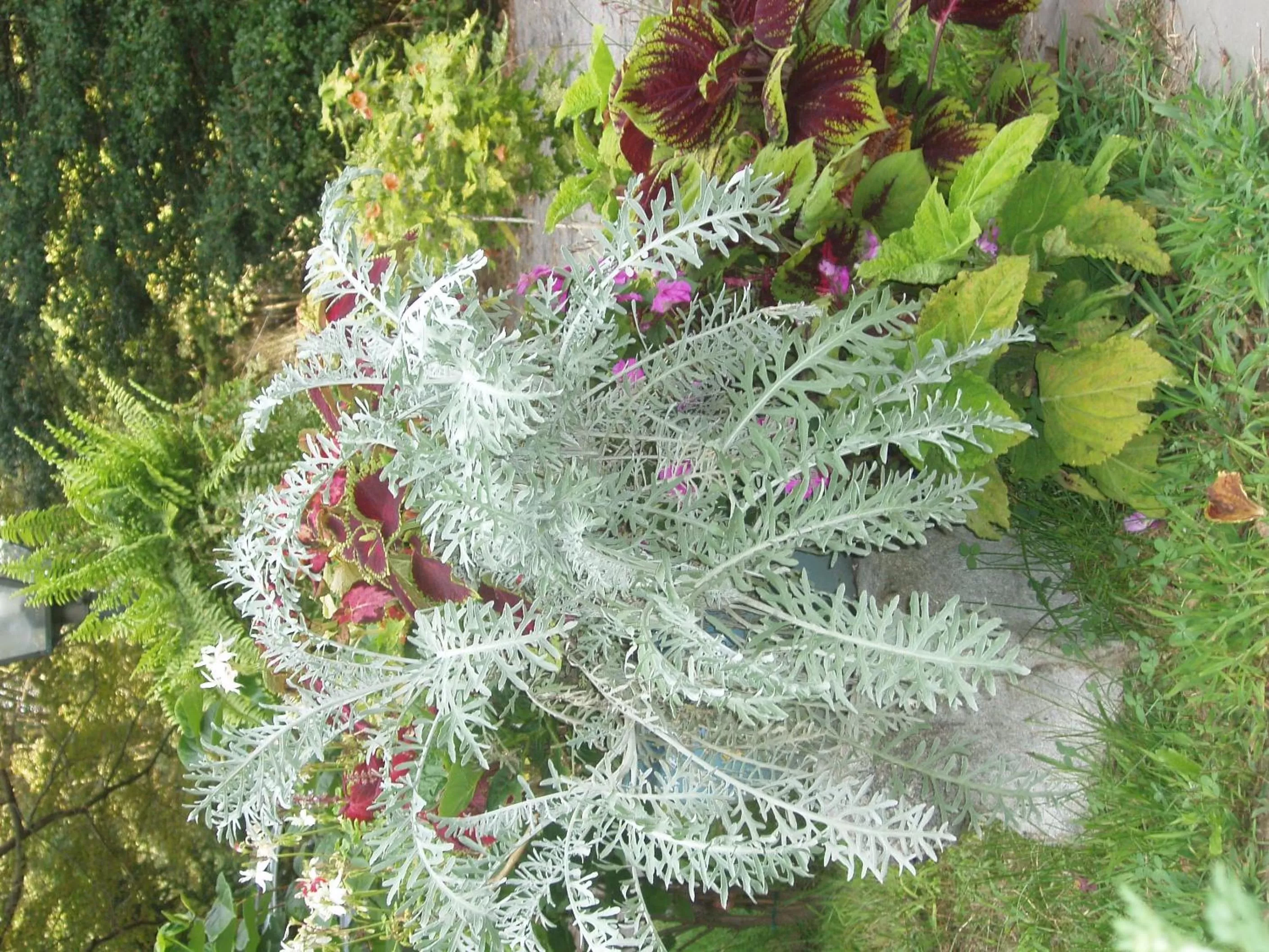 House of 1833 Bed and Breakfast