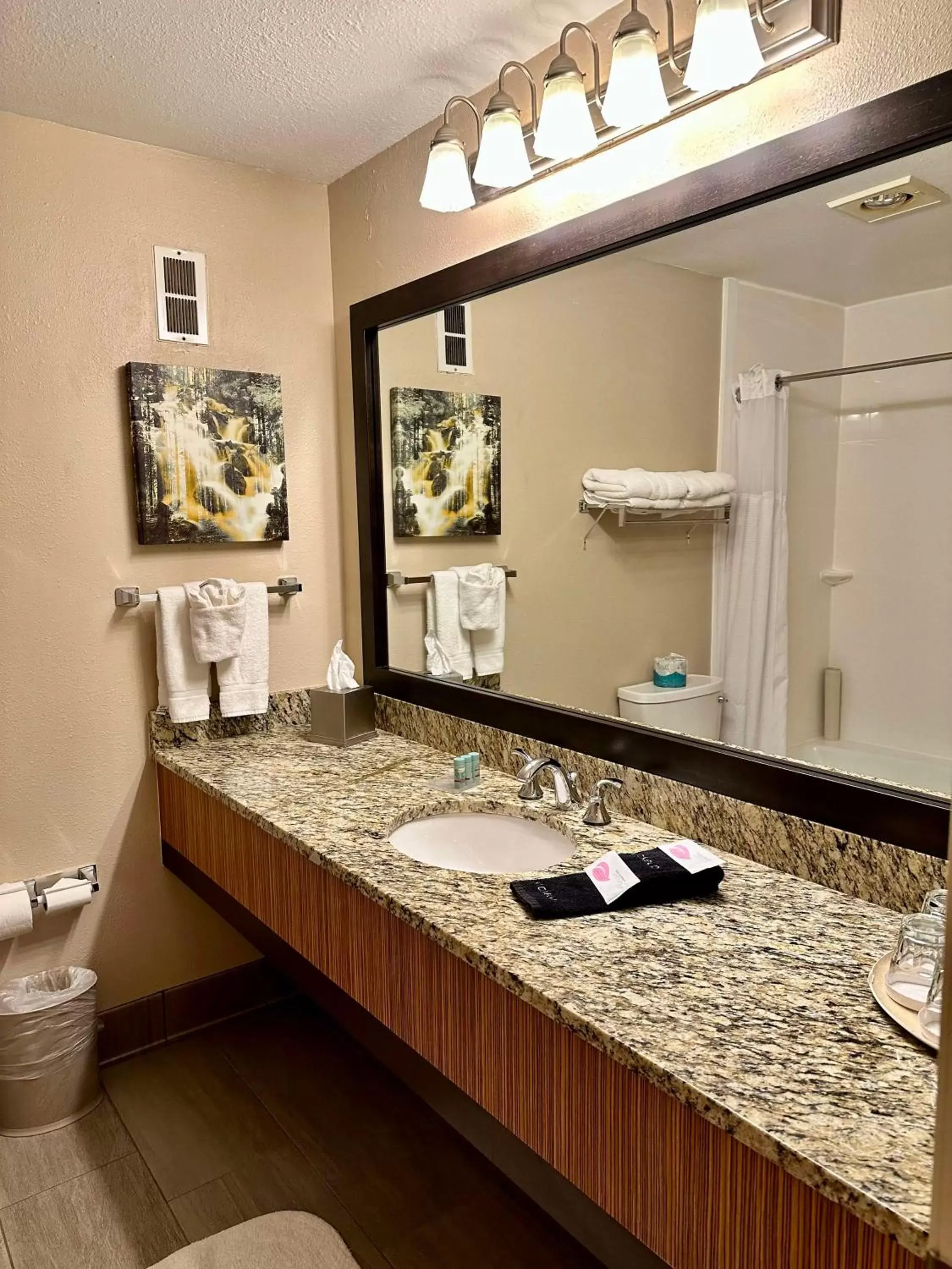 Bathroom in Best Western Vista Inn