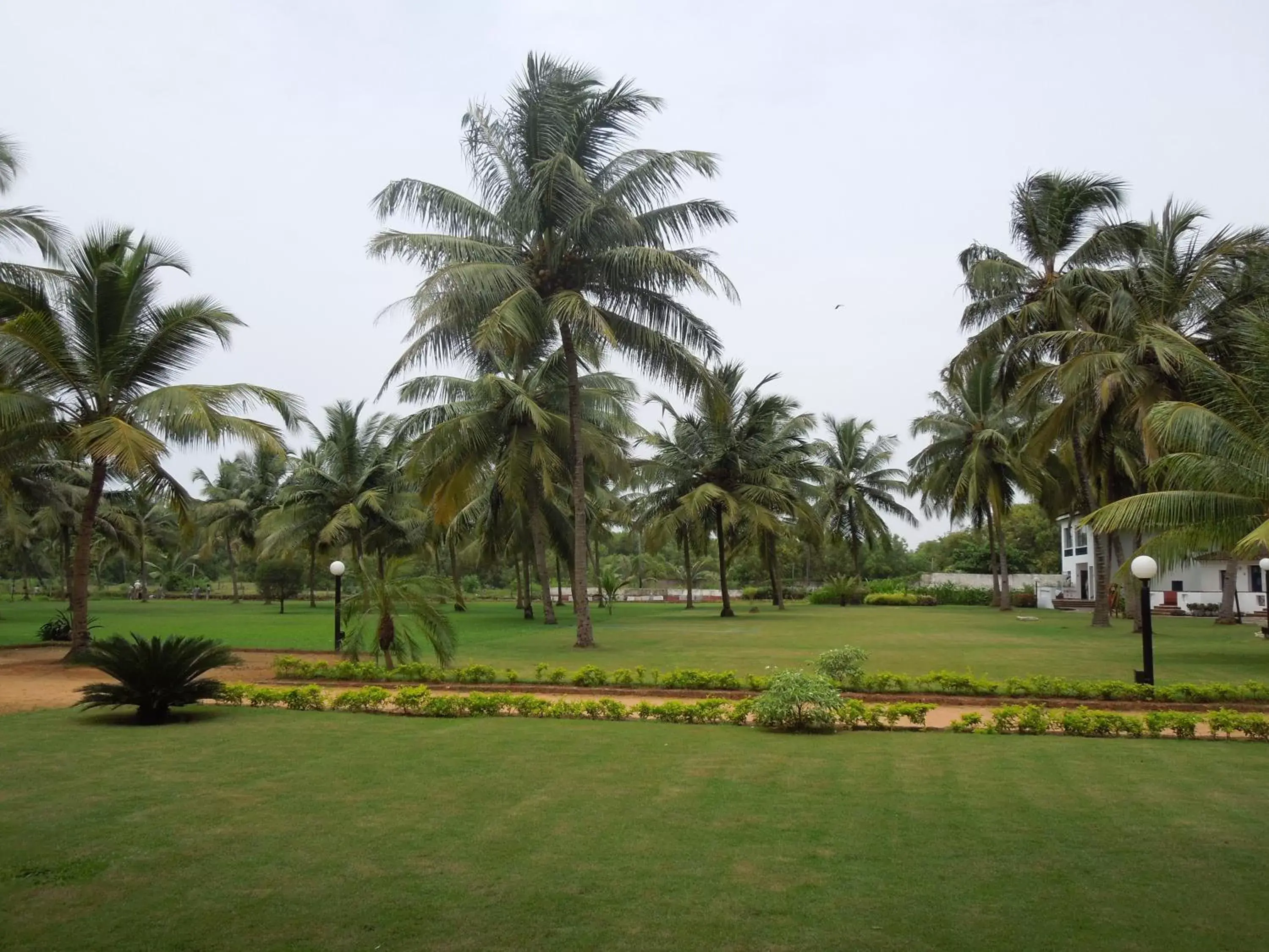 Day, Garden in Novotel Goa Dona Sylvia Resort