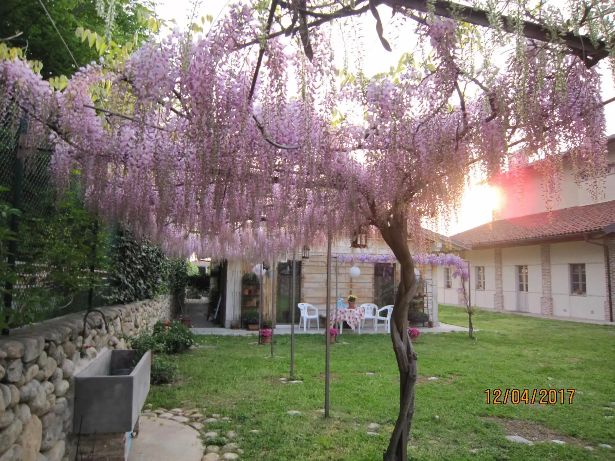 Garden, Property Building in Casa Torre Allera
