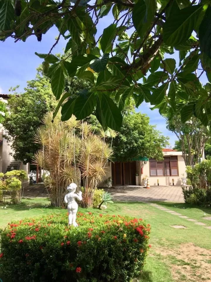 Garden in Hotel Jardim