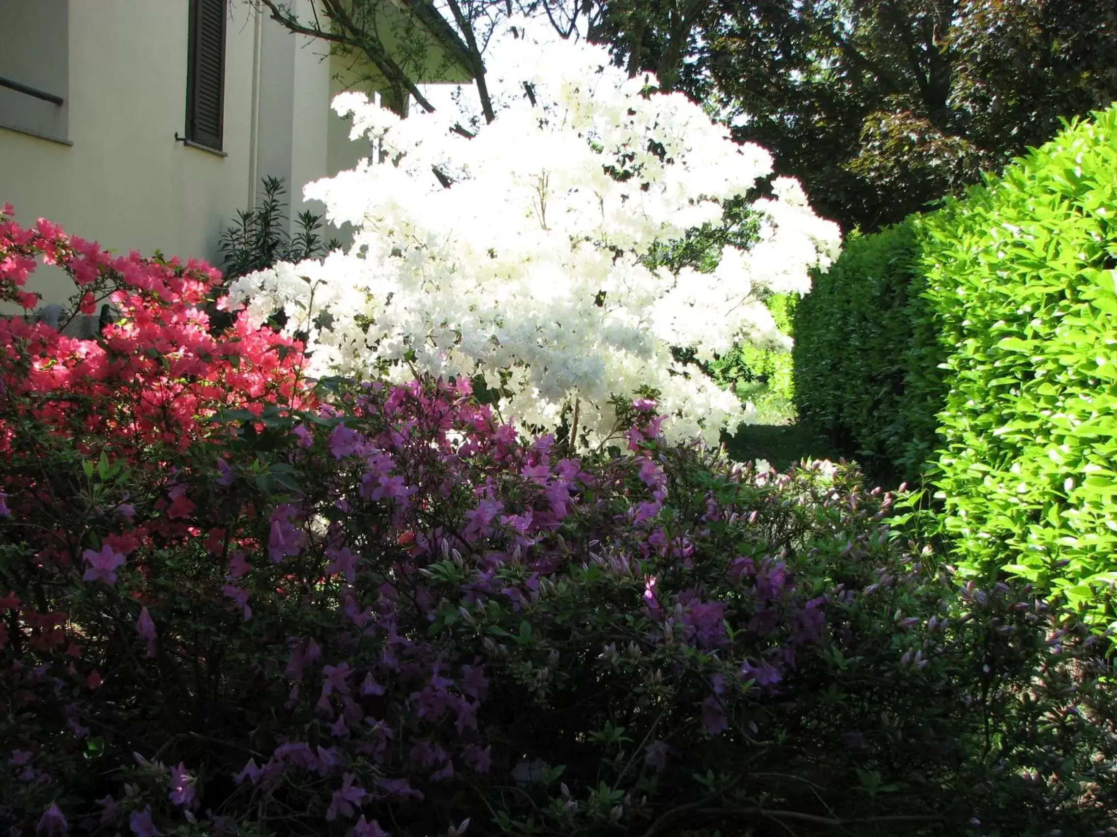 Garden in B&B Il Glicine di Basiglio