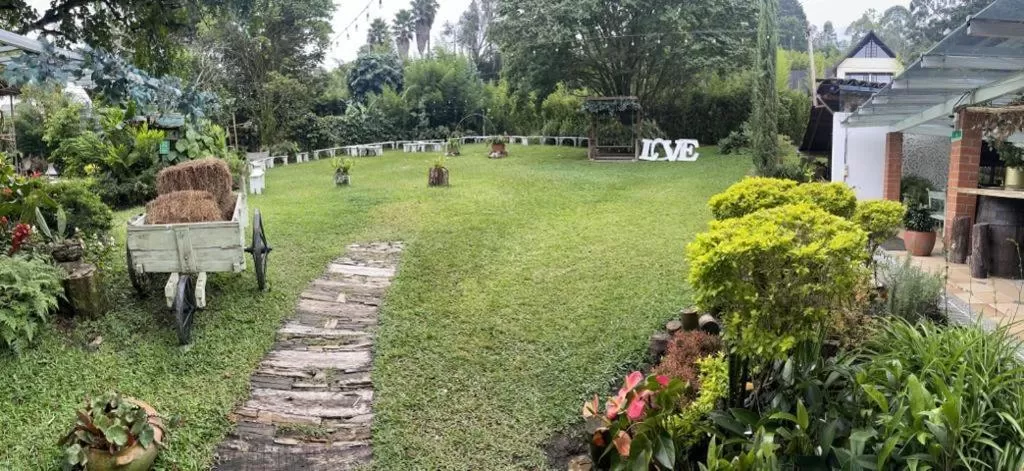 Garden in Hotel Casa Madero