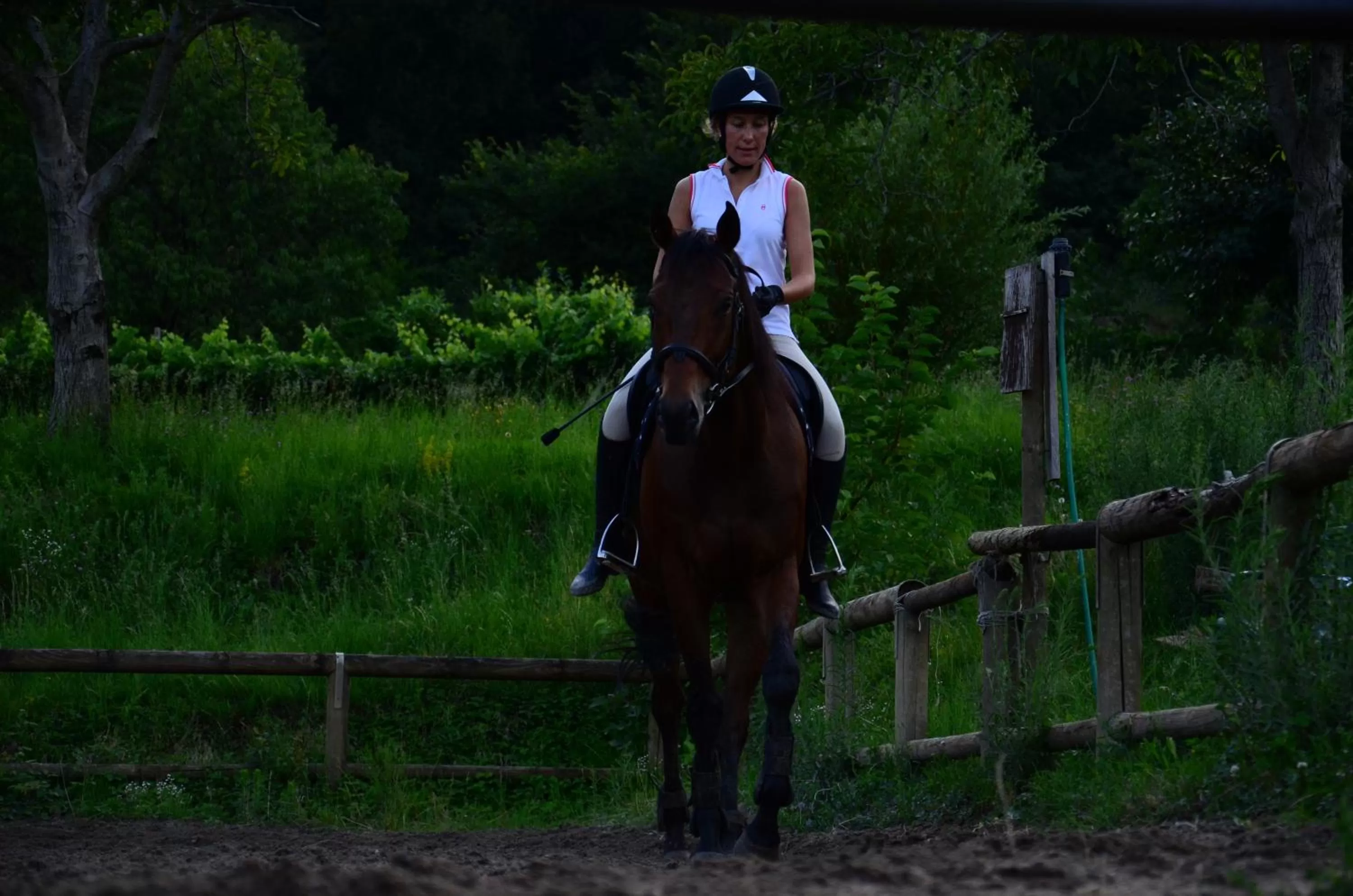 Horse-riding in Agriturismo Locanda Del Pesco