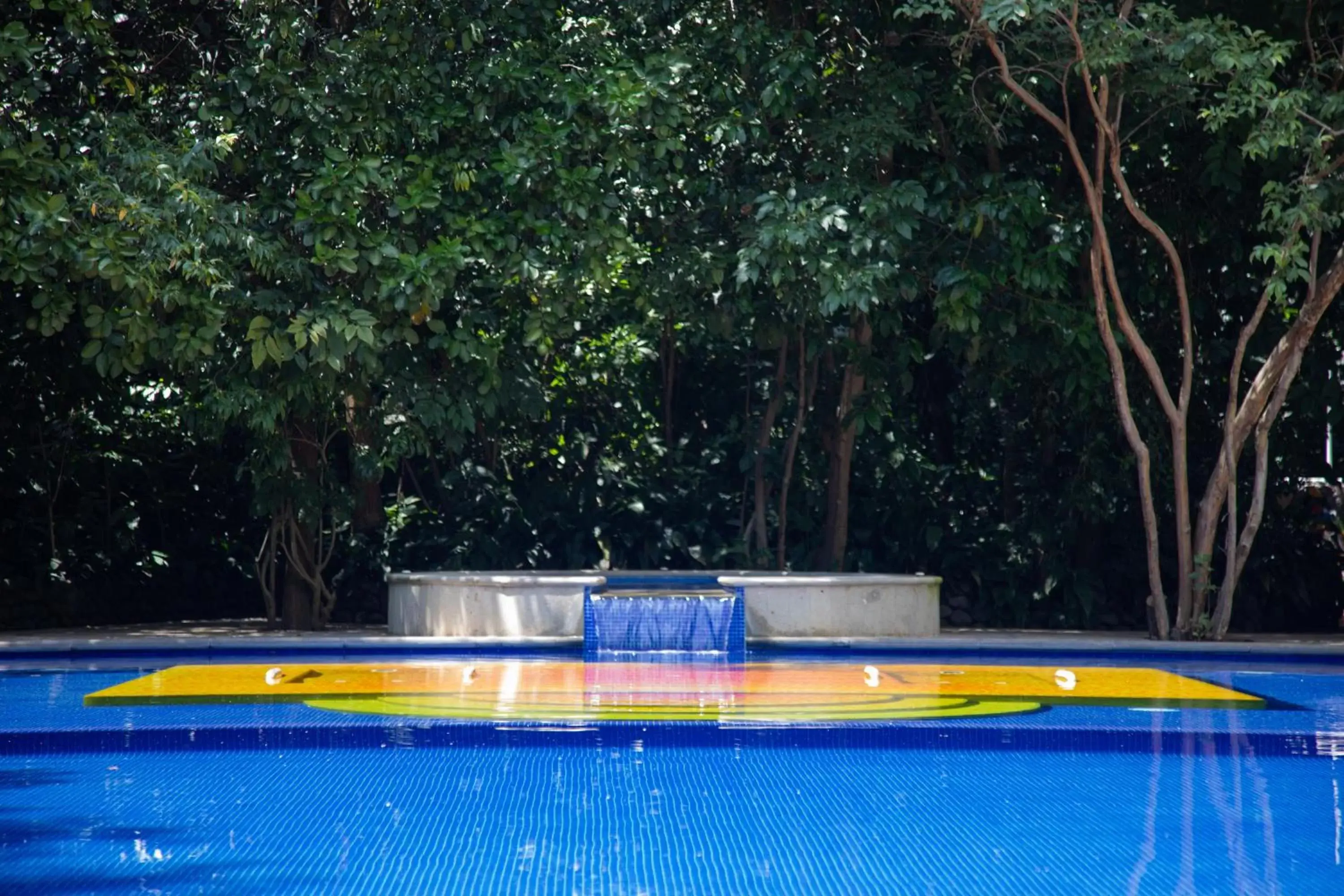 Swimming Pool in Hotel La Casa de los Árboles Immersive Experience