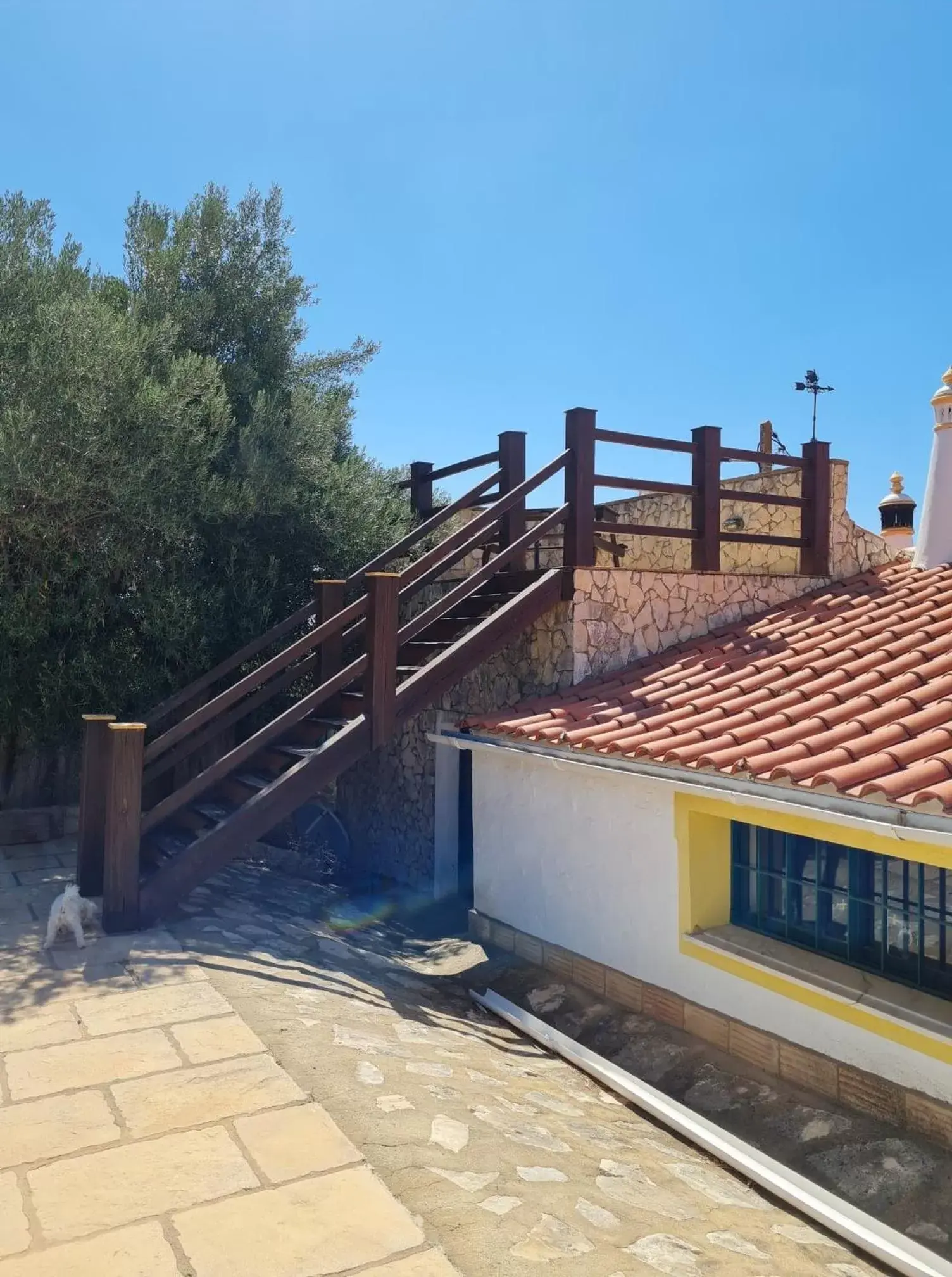 Property building in B&B Quinta da Romãzeira