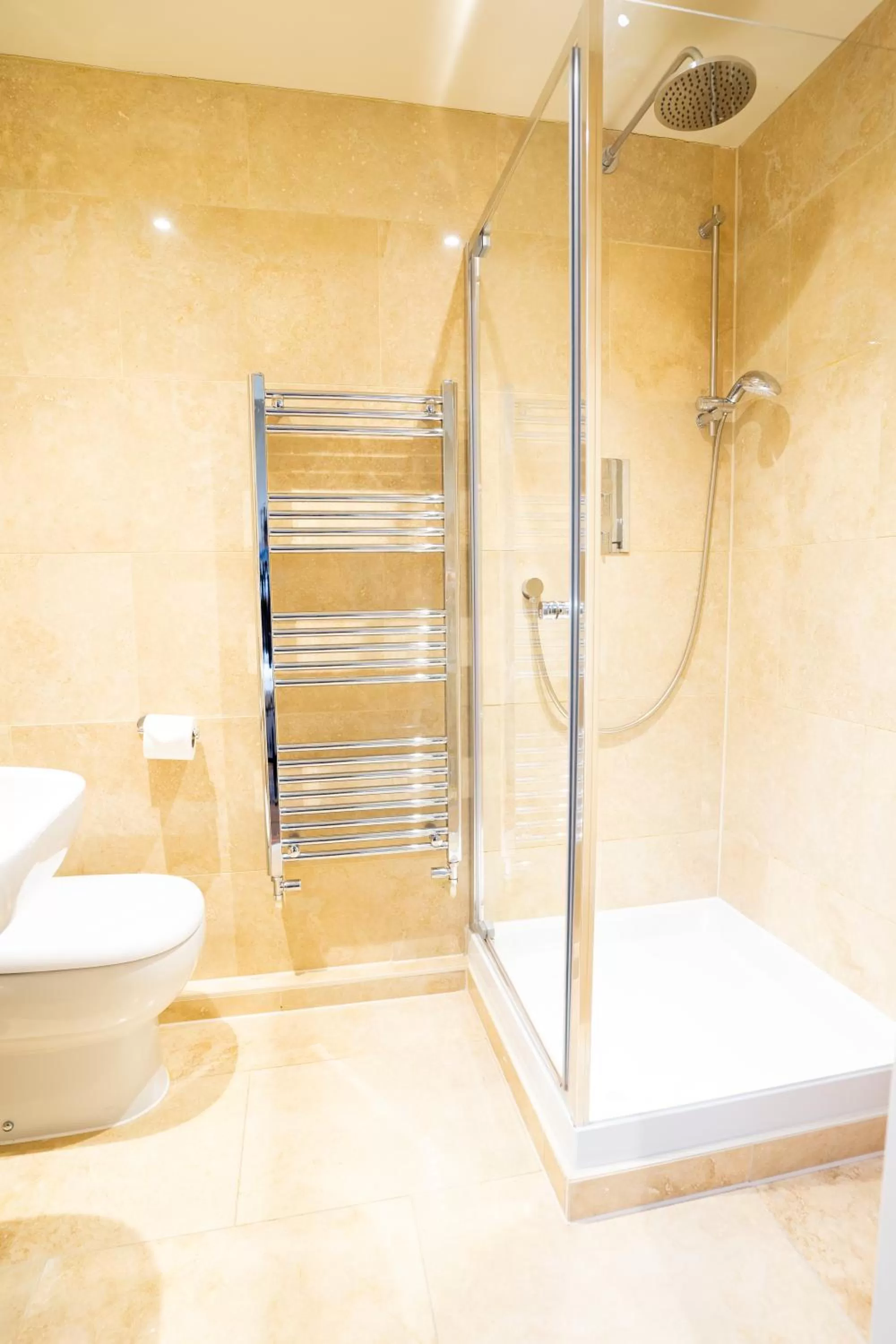 Bathroom in The Bear & Swan