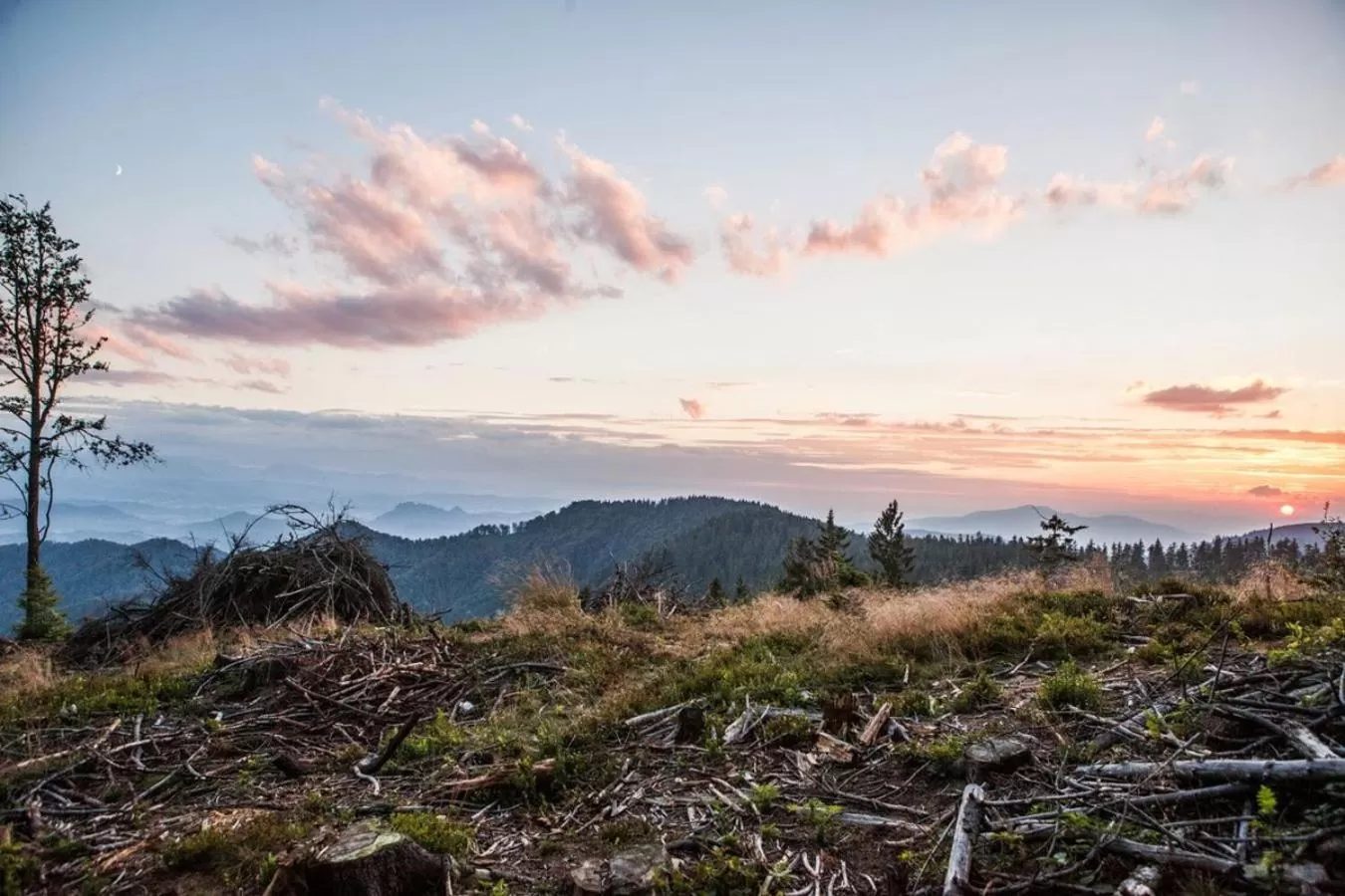 Off site in Willa Pokusa