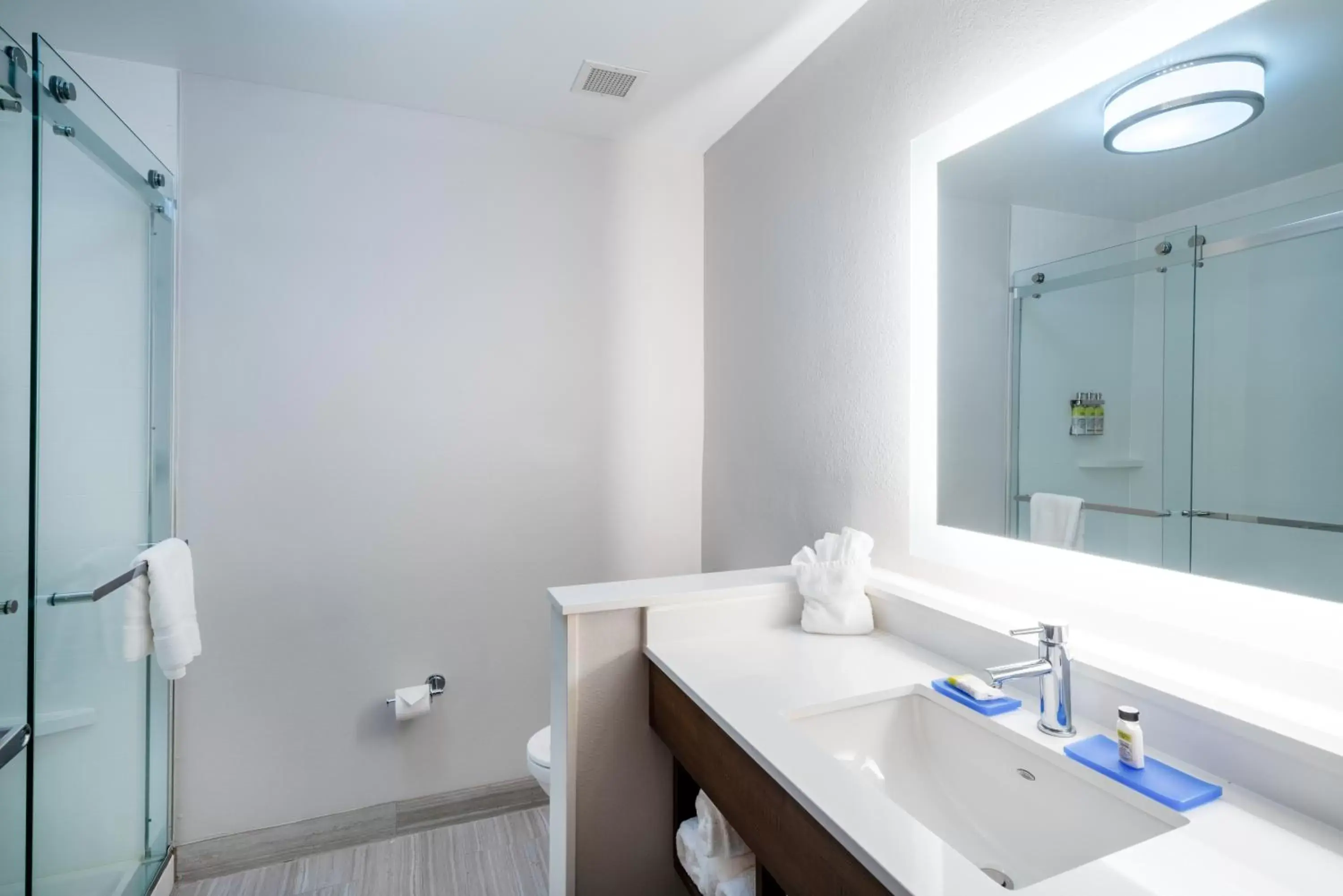 Bathroom in Holiday Inn Express & Suites Atlanta Airport NE - Hapeville, an IHG Hotel