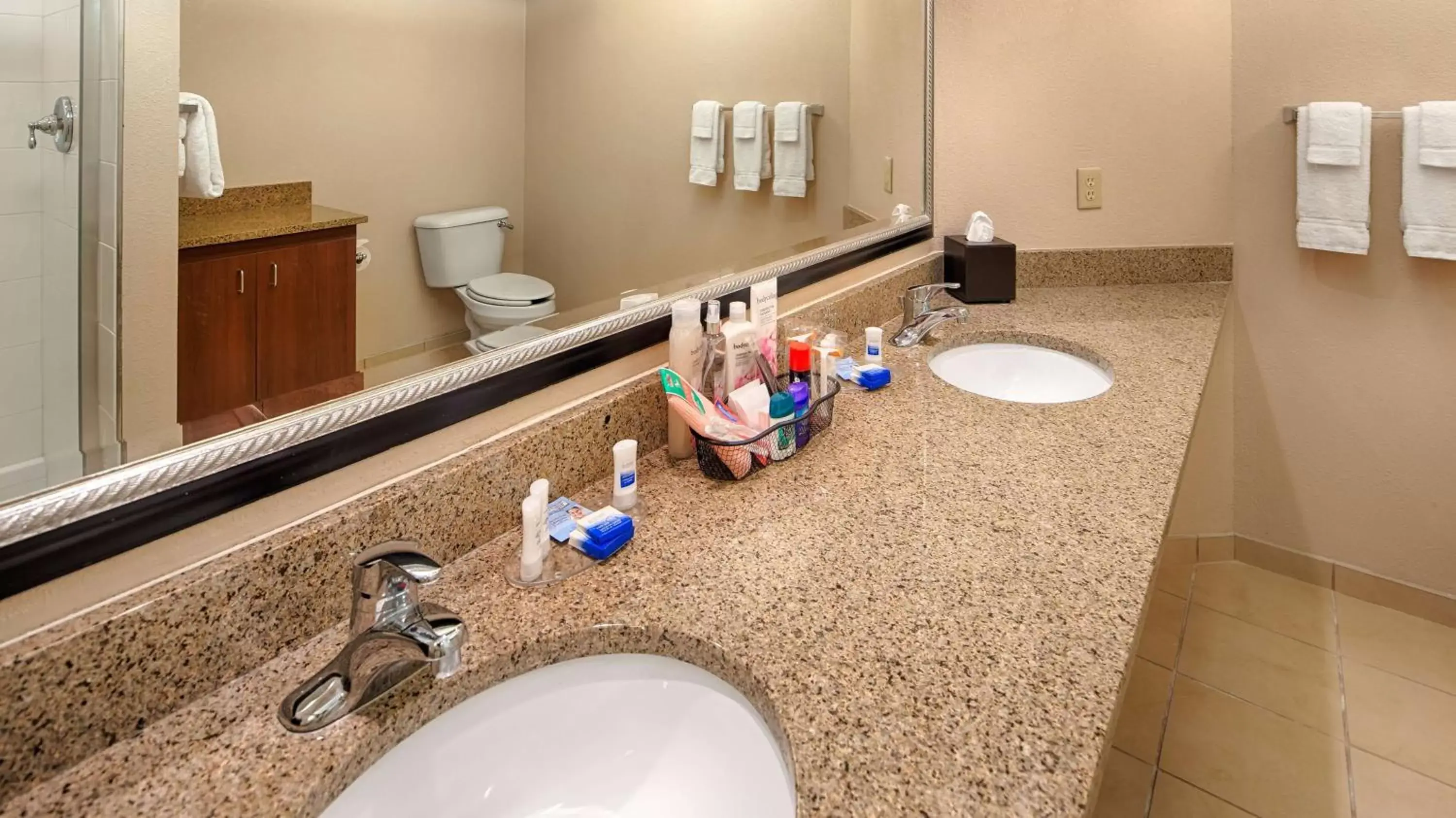 Bathroom in Best Western Benton Harbor – St. Joseph