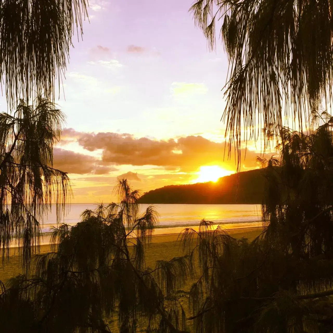 Beach, Sunrise/Sunset in SandCastles Noosa