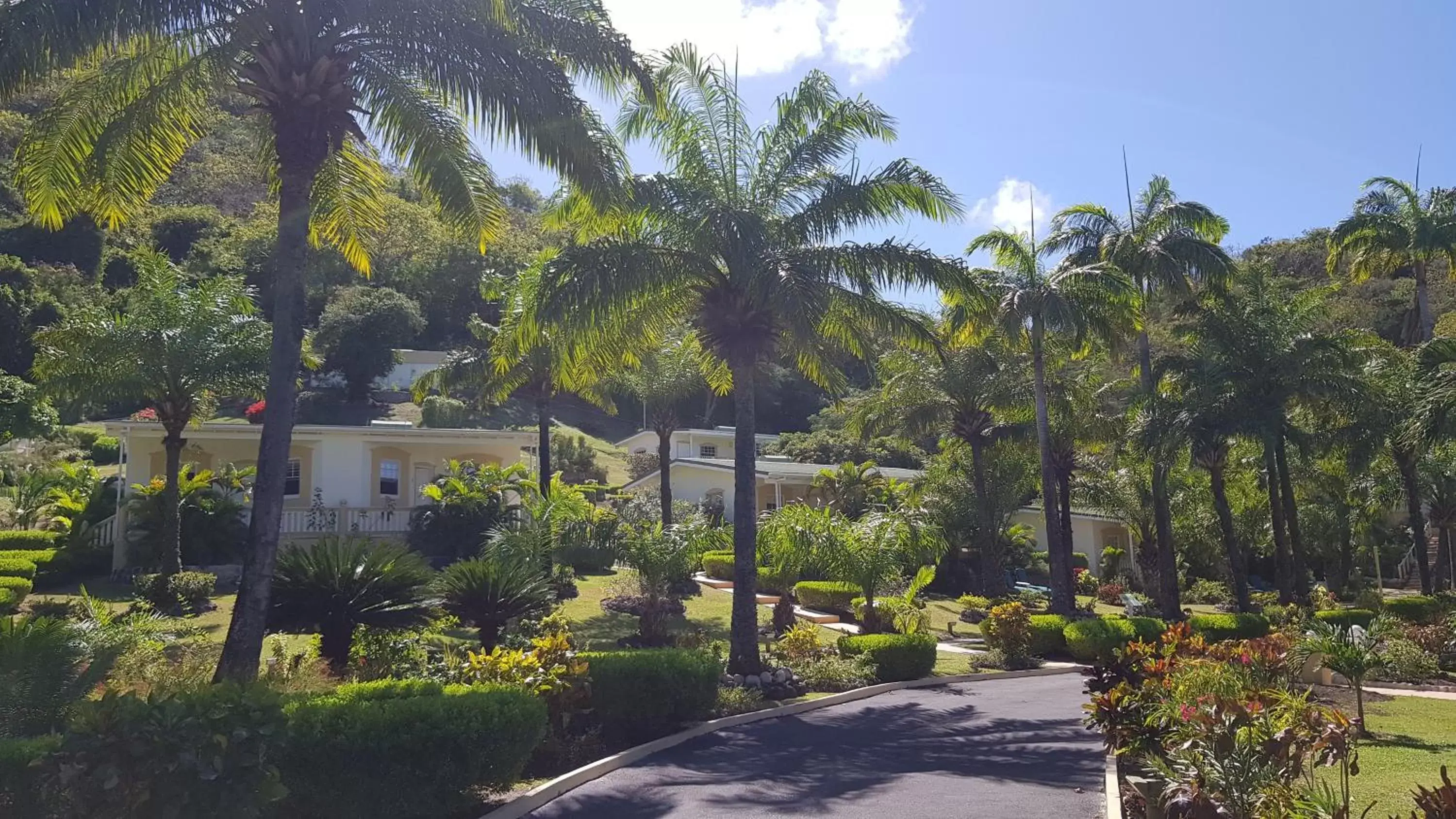 Property Building in Blue Horizons Garden Resort