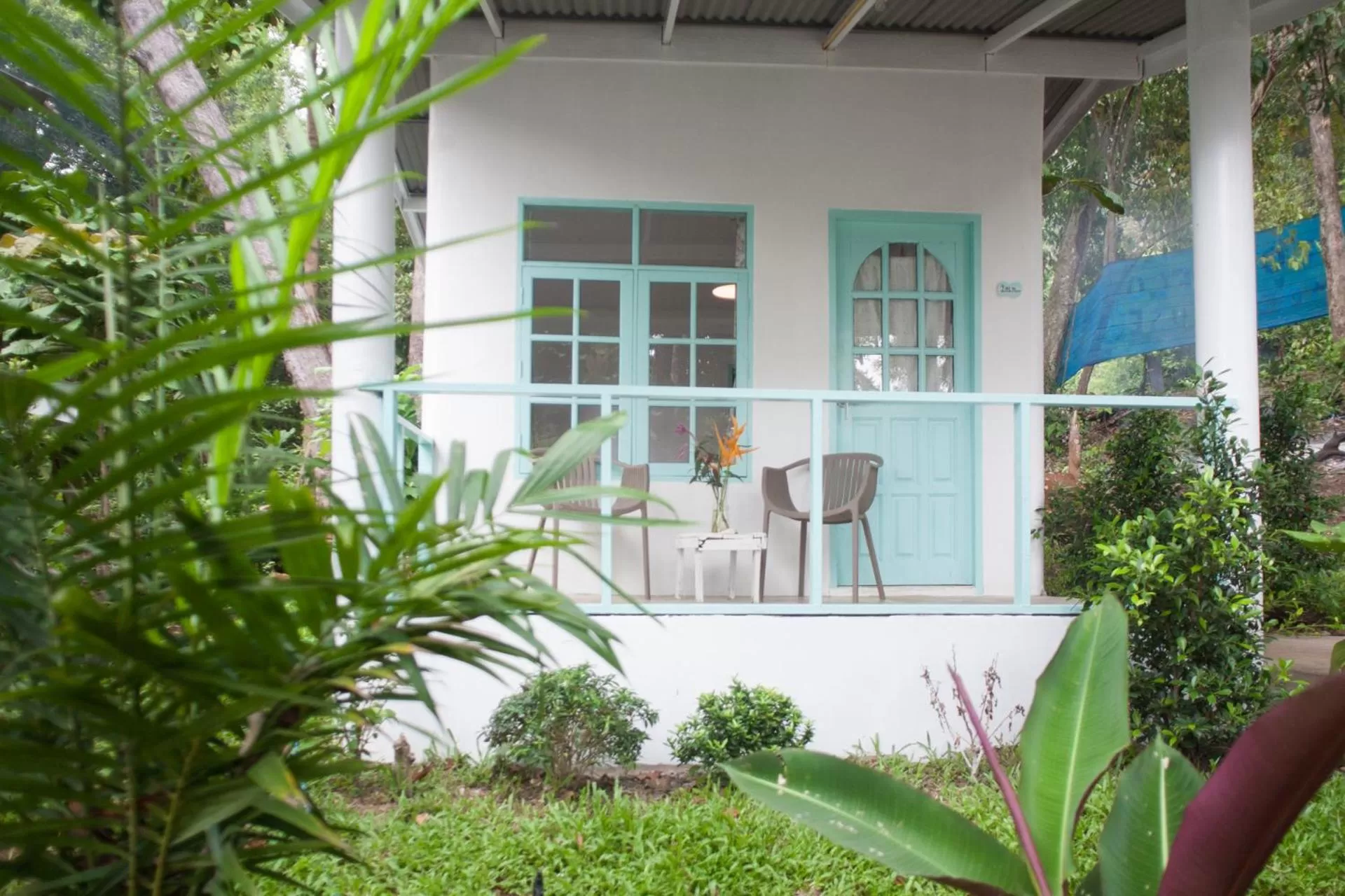 Garden in Indie Beach Bungalows