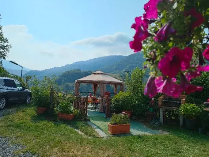 Natural landscape, Garden in B&B Il Ghiro-Country House