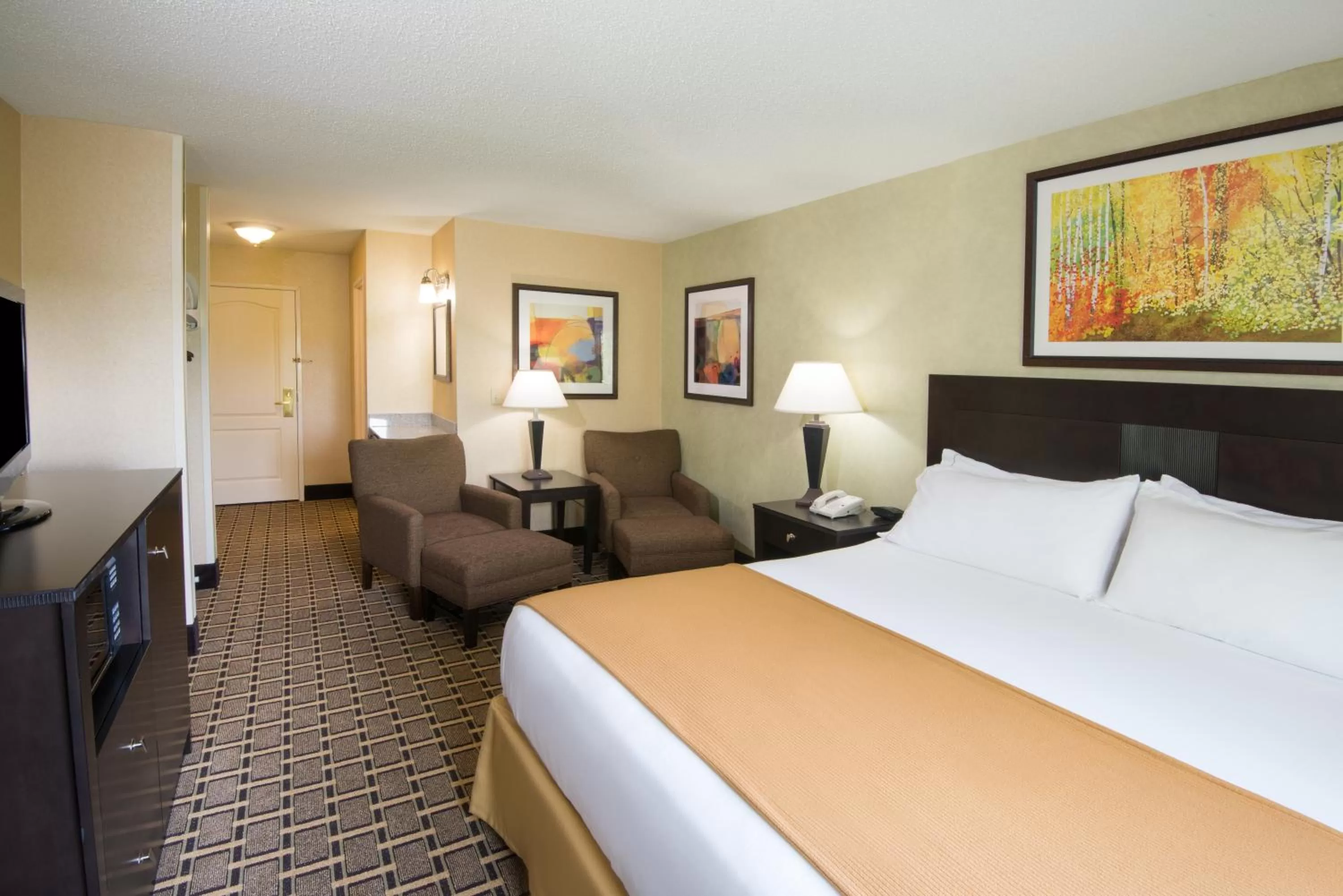 Photo of the whole room, Bed in Holiday Inn Express & Suites - Sharon-Hermitage by IHG