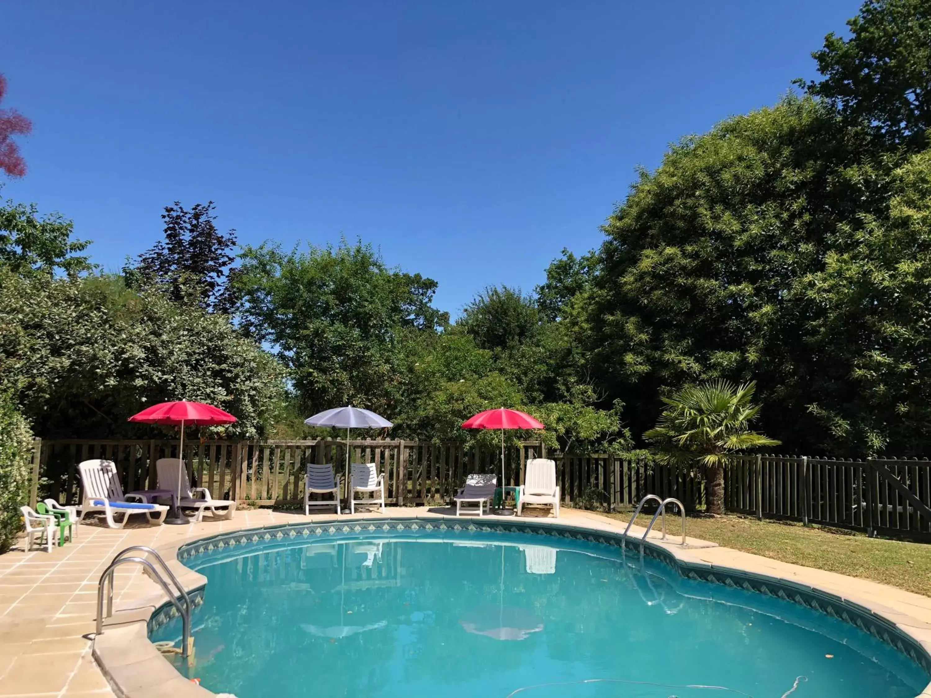 Swimming Pool in Chambre d'Hôtes Bonifacio