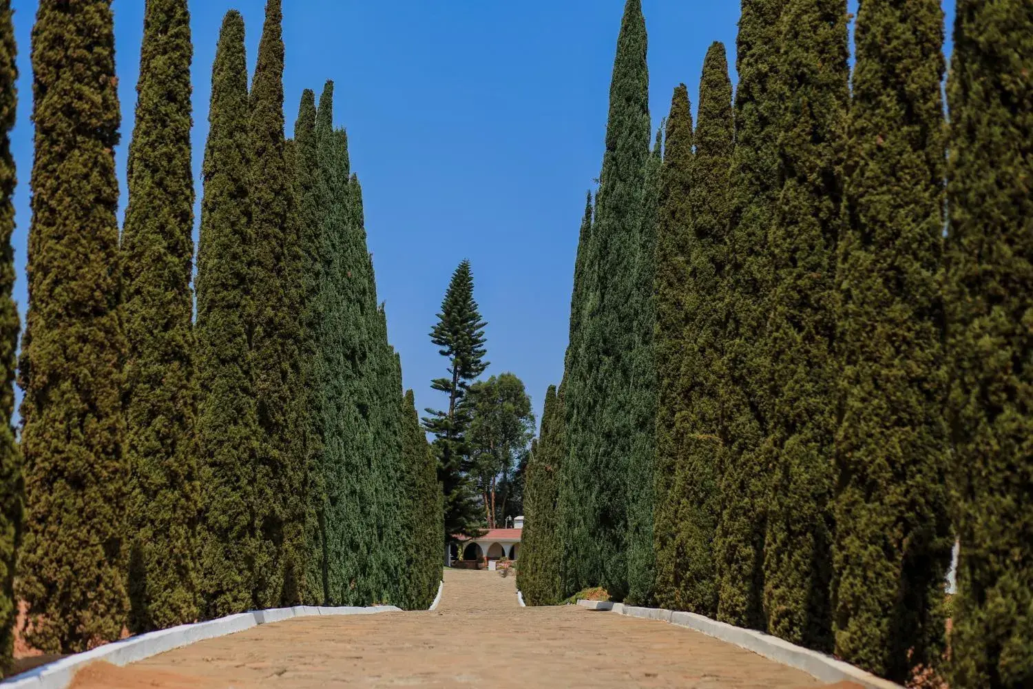 Facade/entrance in Rancho el Parral