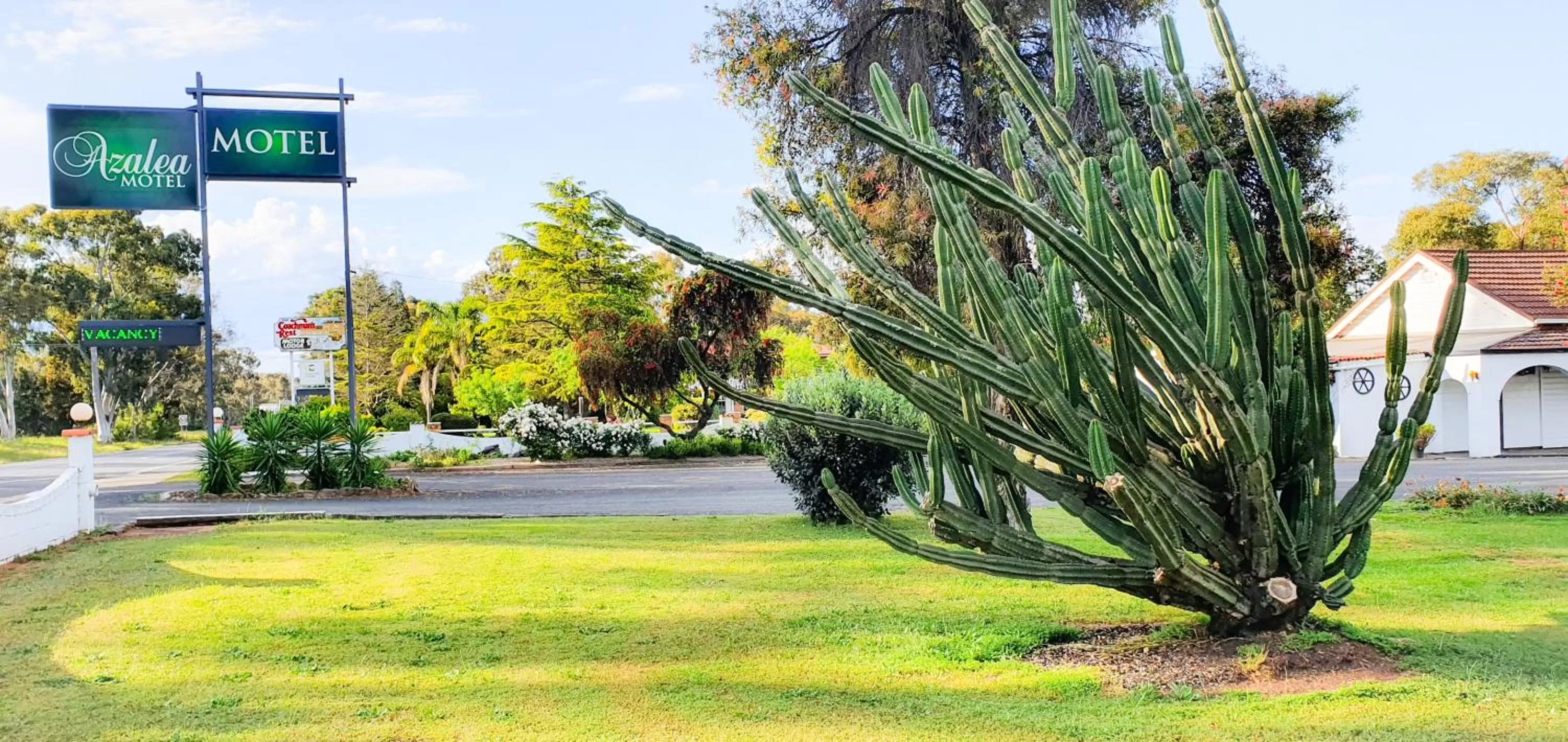 Property logo or sign in Azalea Motel