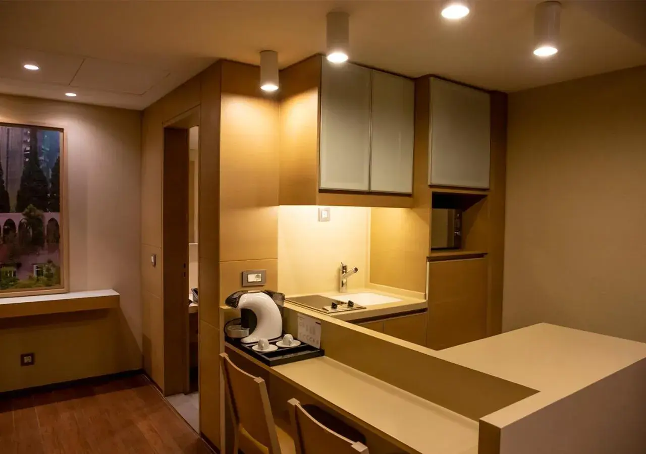 Kitchen/Kitchenette in Saifi Suites