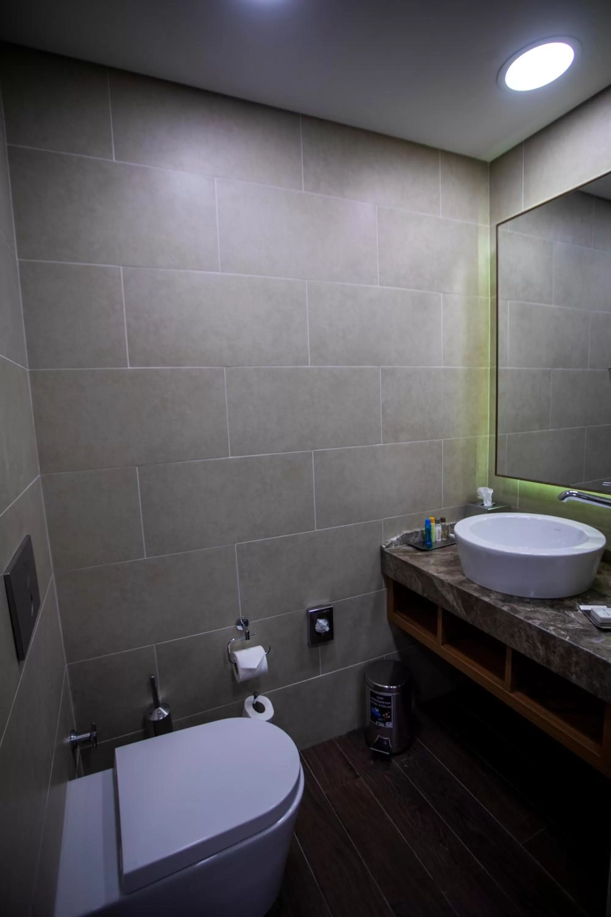 Toilet in DoubleTree by Hilton Trabzon