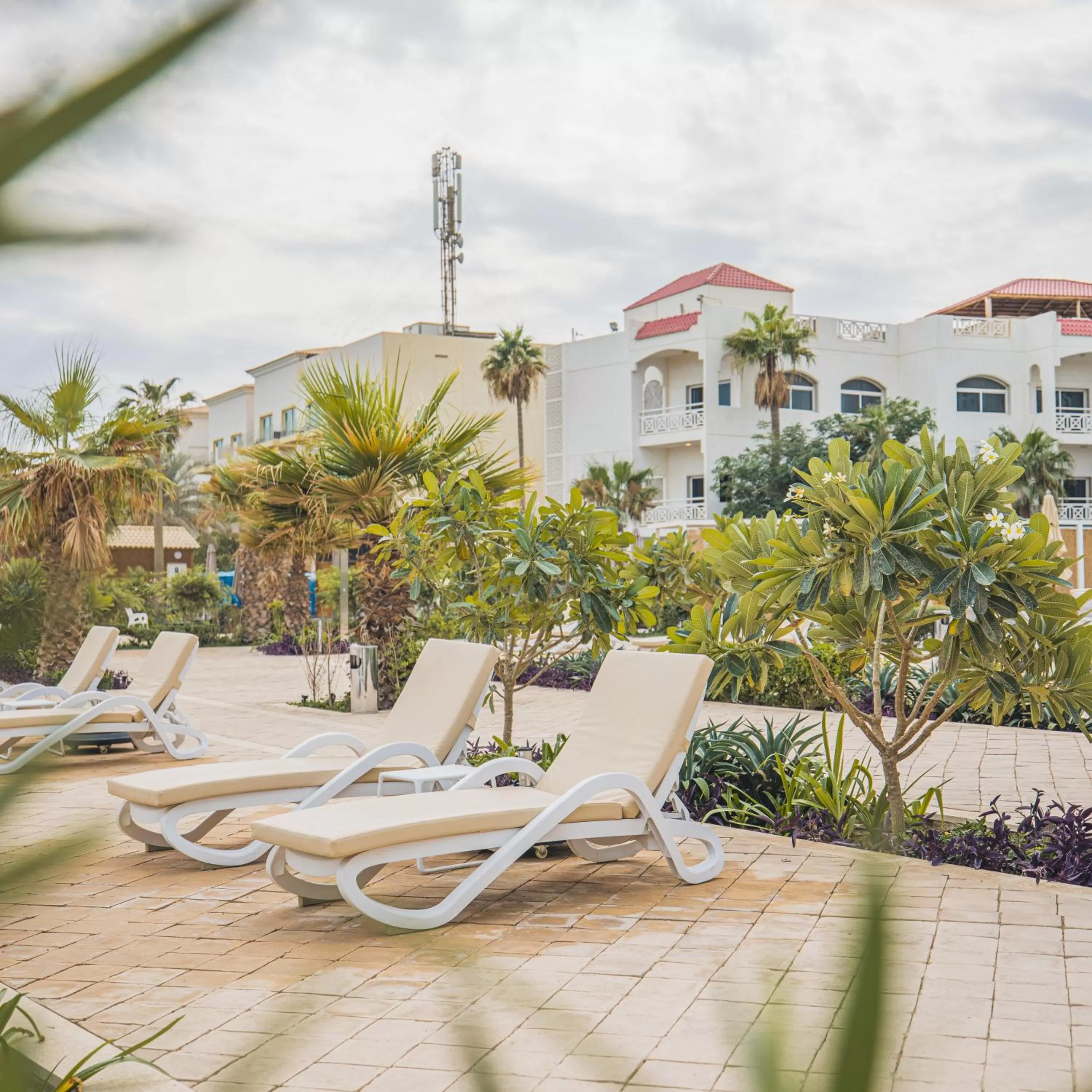 Beach in Argan Al Bidaa Hotel and Resort , Kuwait