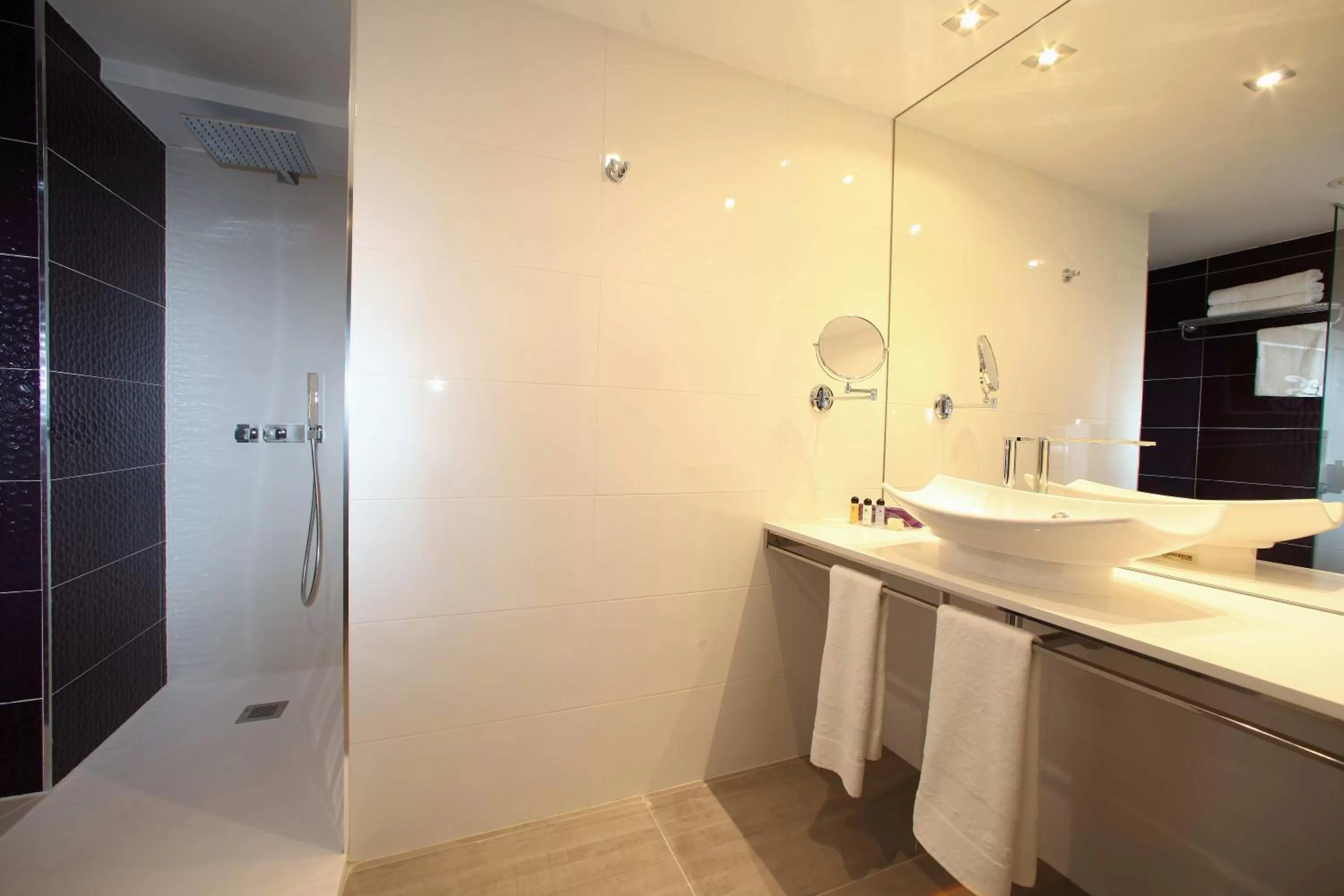 Facility for disabled guests in Hotel Cardenal