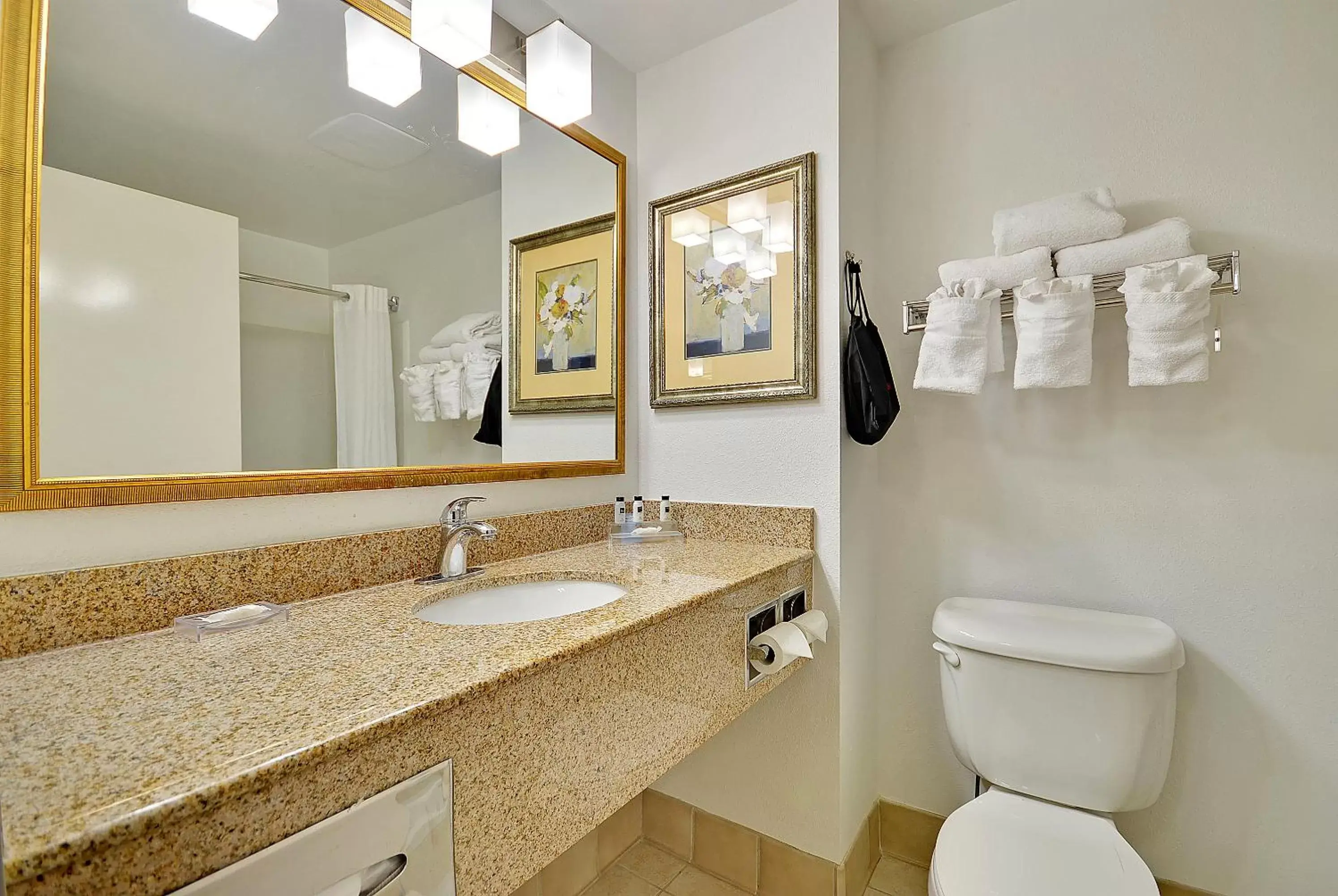 Bathroom in Country Inn & Suites by Radisson, Charleston North, SC