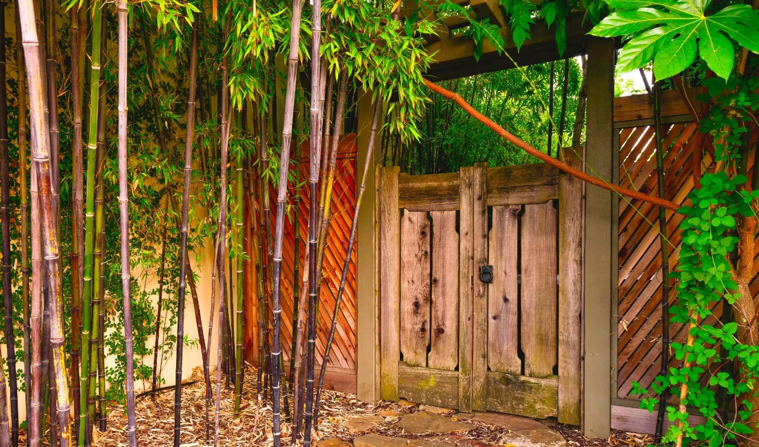 Property building in Blackbird Inn