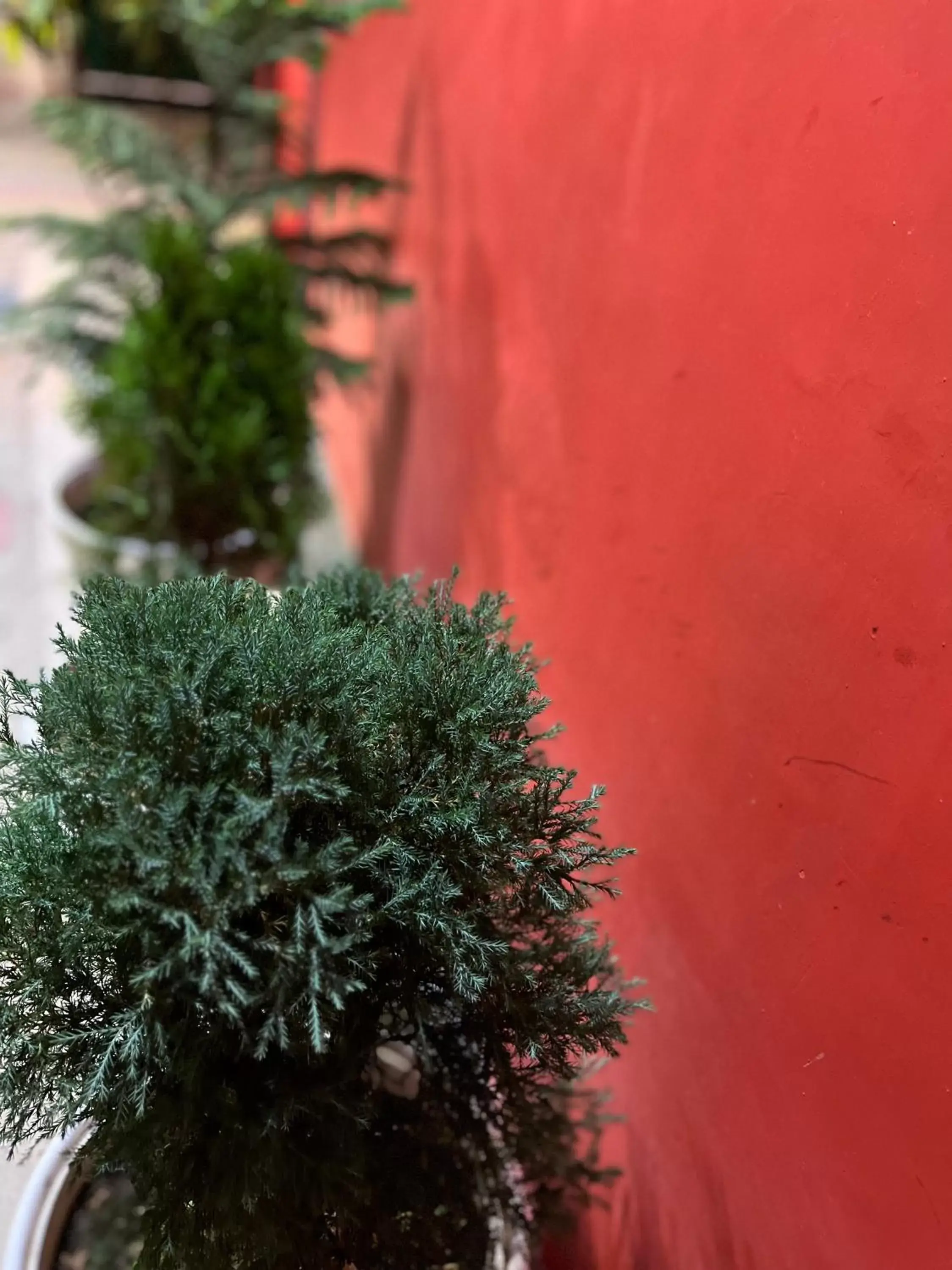 Property building in Hotel Crescent Property building in Hotel Crescent